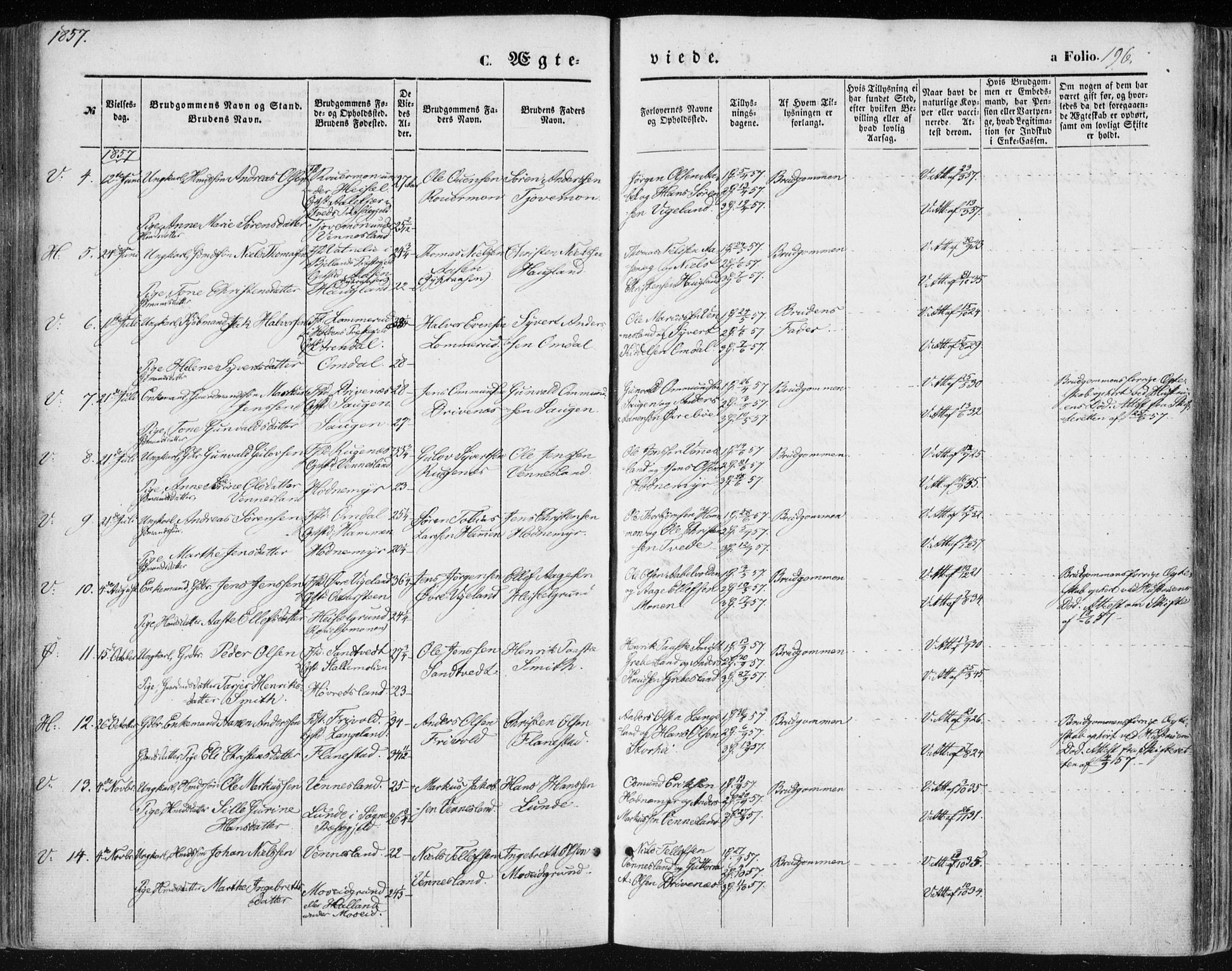 Vennesla sokneprestkontor, AV/SAK-1111-0045/Fa/Fac/L0007: Parish register (official) no. A 7, 1855-1873, p. 196