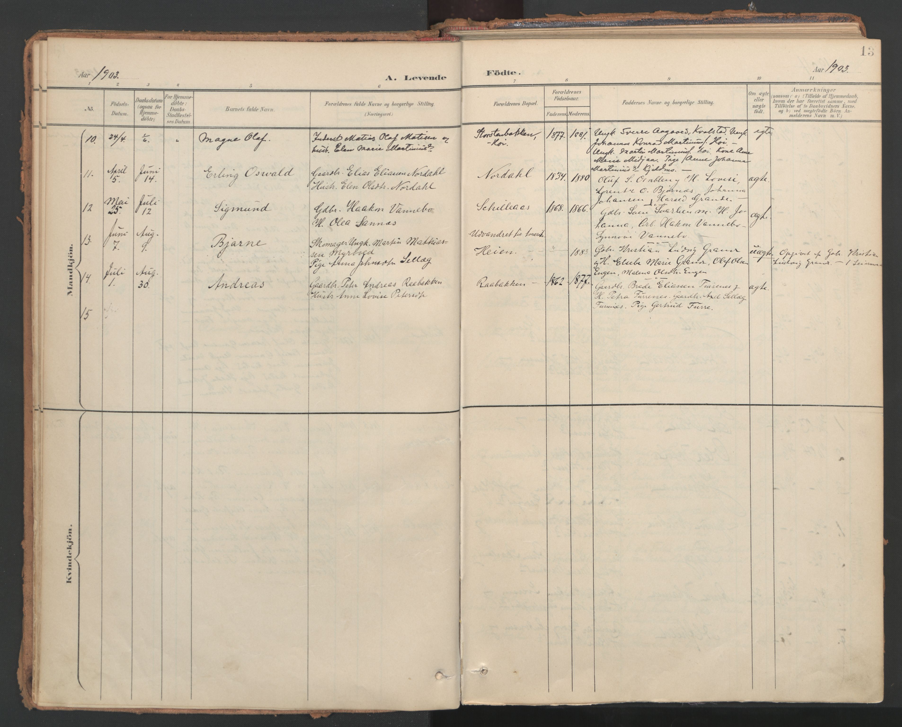 Ministerialprotokoller, klokkerbøker og fødselsregistre - Nord-Trøndelag, SAT/A-1458/766/L0564: Parish register (official) no. 767A02, 1900-1932, p. 13