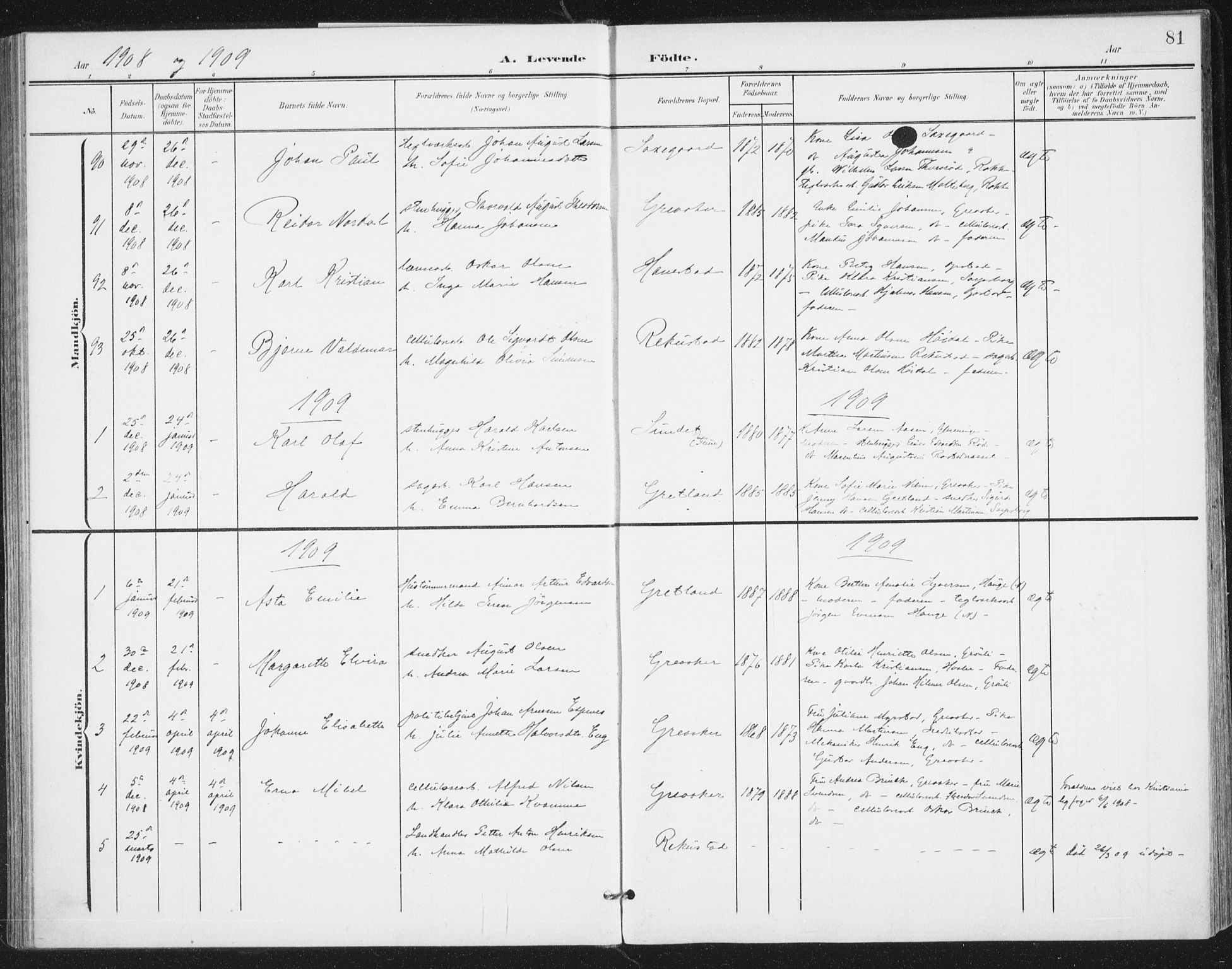 Rolvsøy prestekontor Kirkebøker, AV/SAO-A-2004/F/Fa/L0001: Parish register (official) no. 1, 1901-1909, p. 81
