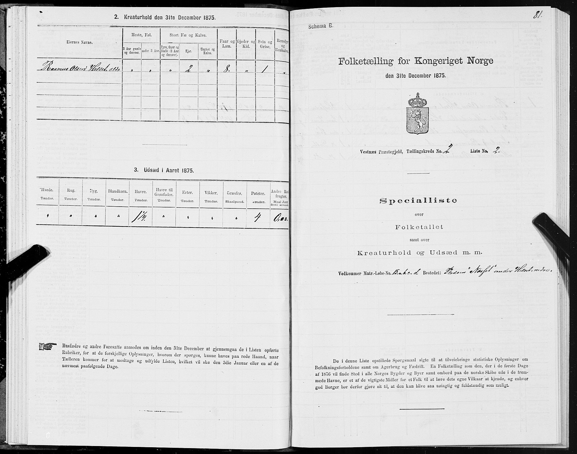 SAT, 1875 census for 1535P Vestnes, 1875, p. 1081