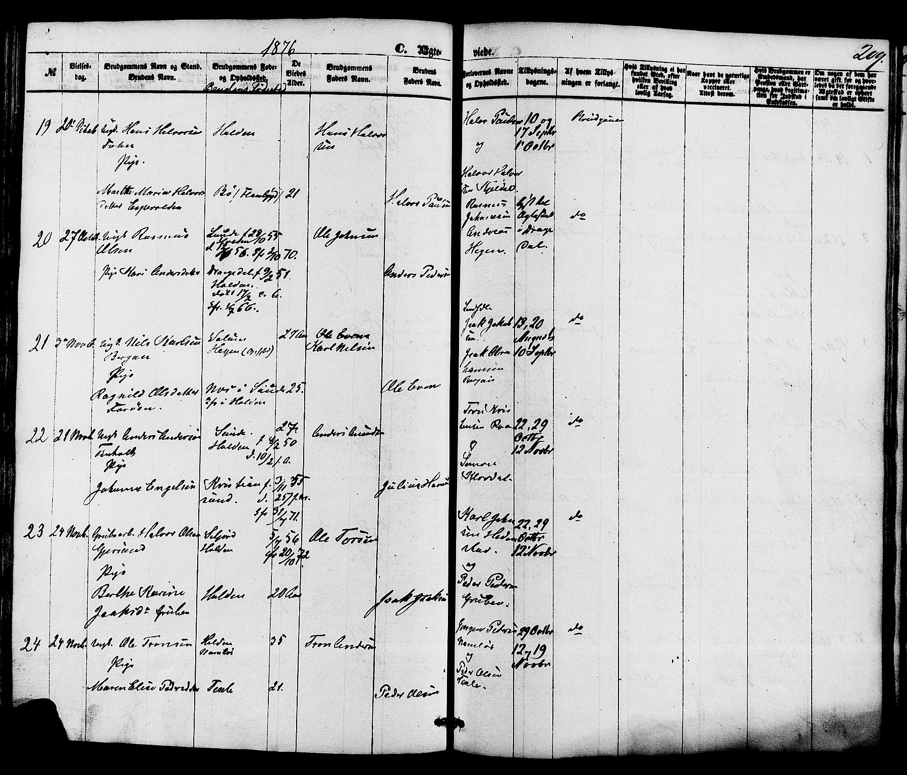 Holla kirkebøker, AV/SAKO-A-272/F/Fa/L0007: Parish register (official) no. 7, 1869-1881, p. 209