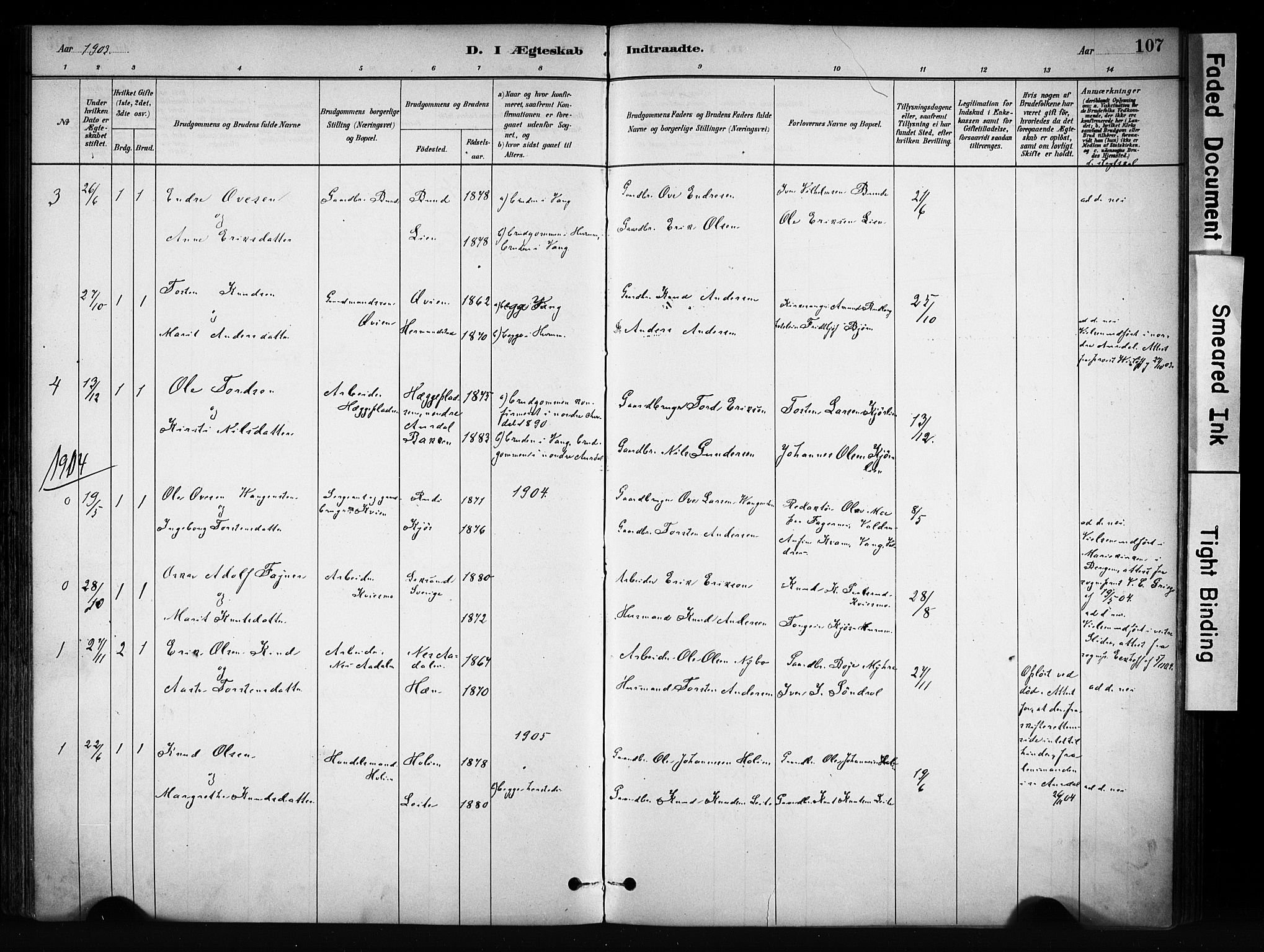 Vang prestekontor, Valdres, SAH/PREST-140/H/Ha/L0009: Parish register (official) no. 9, 1882-1914, p. 107