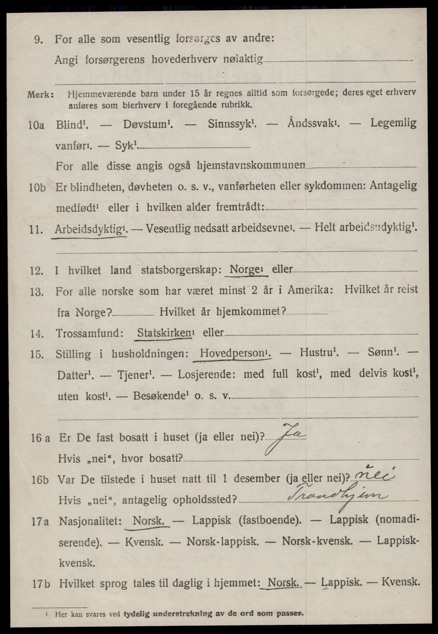 SAT, 1920 census for Stadsbygd, 1920, p. 4029