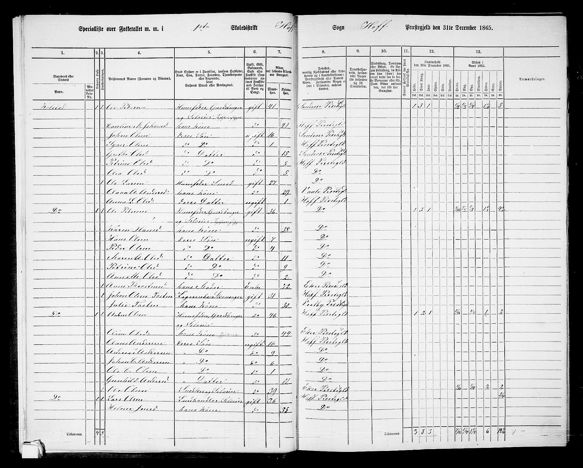 RA, 1865 census for Hof, 1865, p. 13