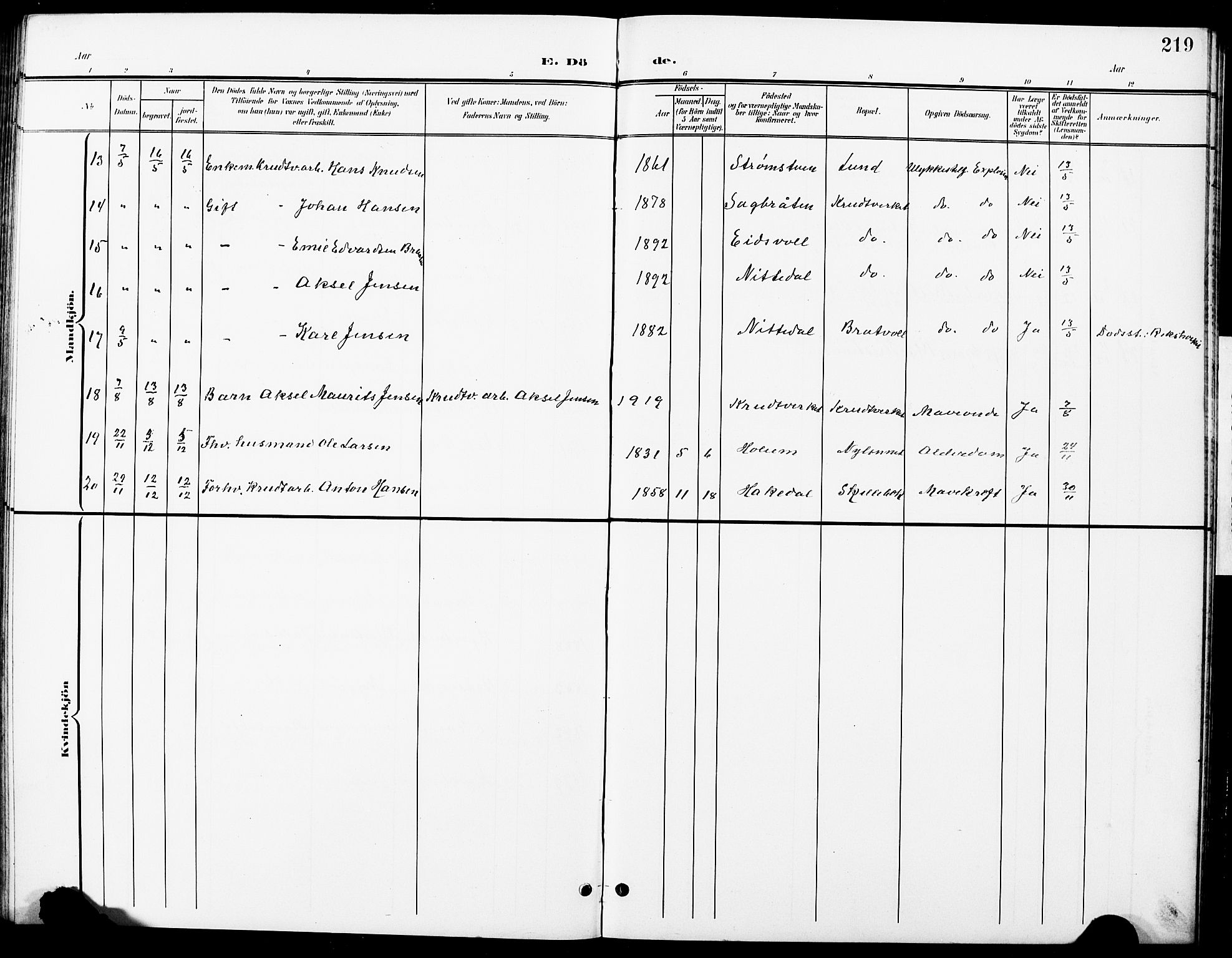 Nittedal prestekontor Kirkebøker, SAO/A-10365a/G/Ga/L0003: Parish register (copy) no. I 3, 1902-1929, p. 219