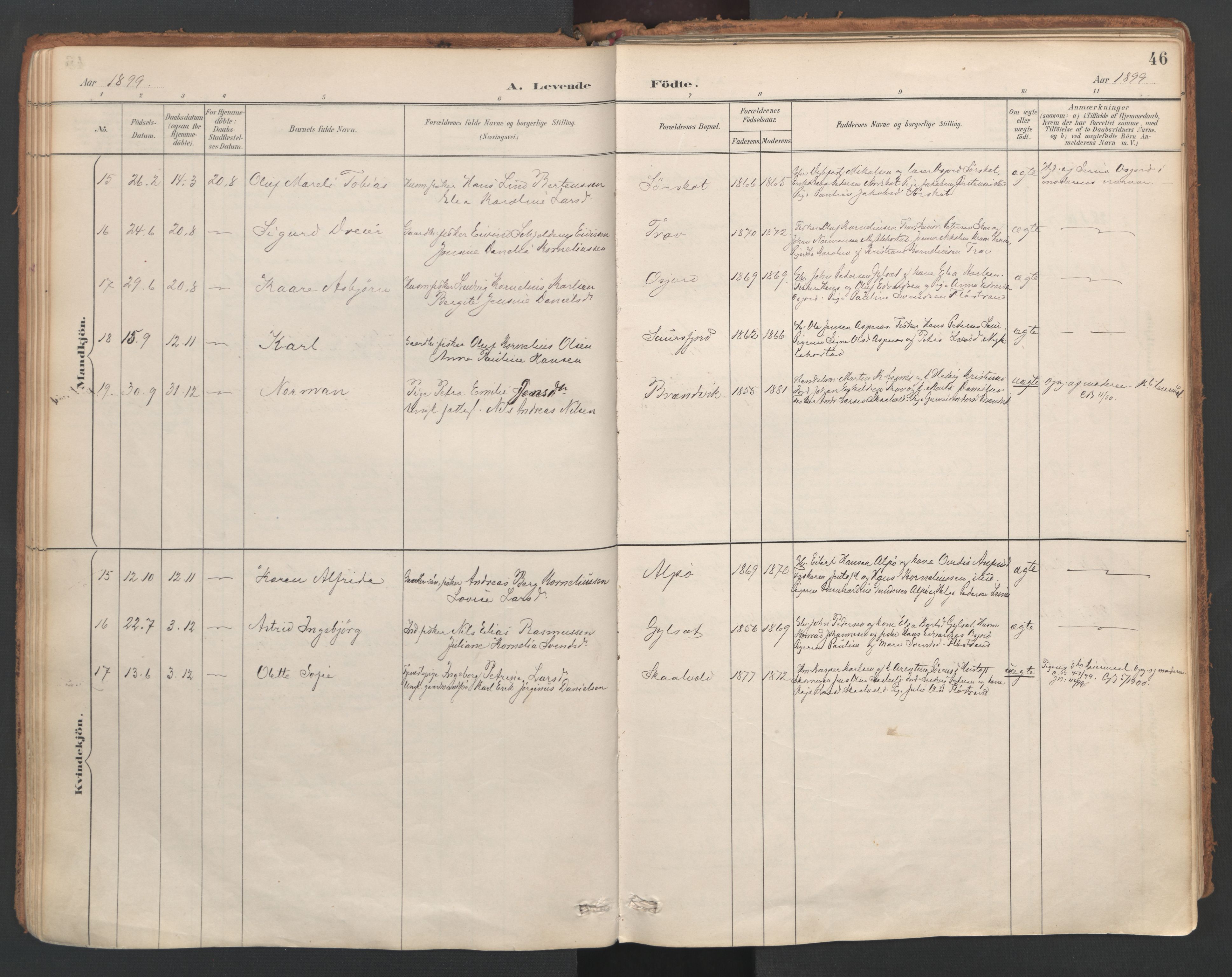 Ministerialprotokoller, klokkerbøker og fødselsregistre - Nordland, AV/SAT-A-1459/857/L0822: Parish register (official) no. 857A02, 1890-1917, p. 46