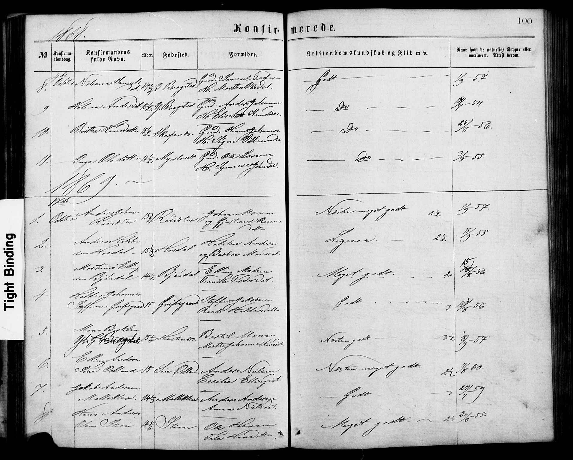 Alversund Sokneprestembete, SAB/A-73901/H/Ha/Hab: Parish register (copy) no. C 2, 1867-1880, p. 100
