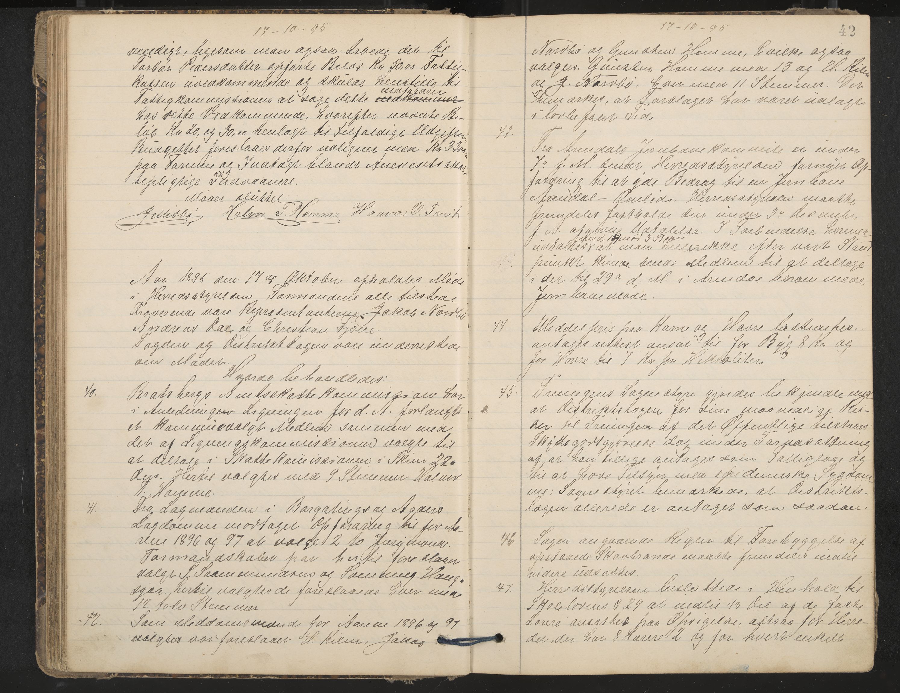 Nissedal formannskap og sentraladministrasjon, IKAK/0830021-1/A/L0003: Møtebok, 1892-1904, p. 42