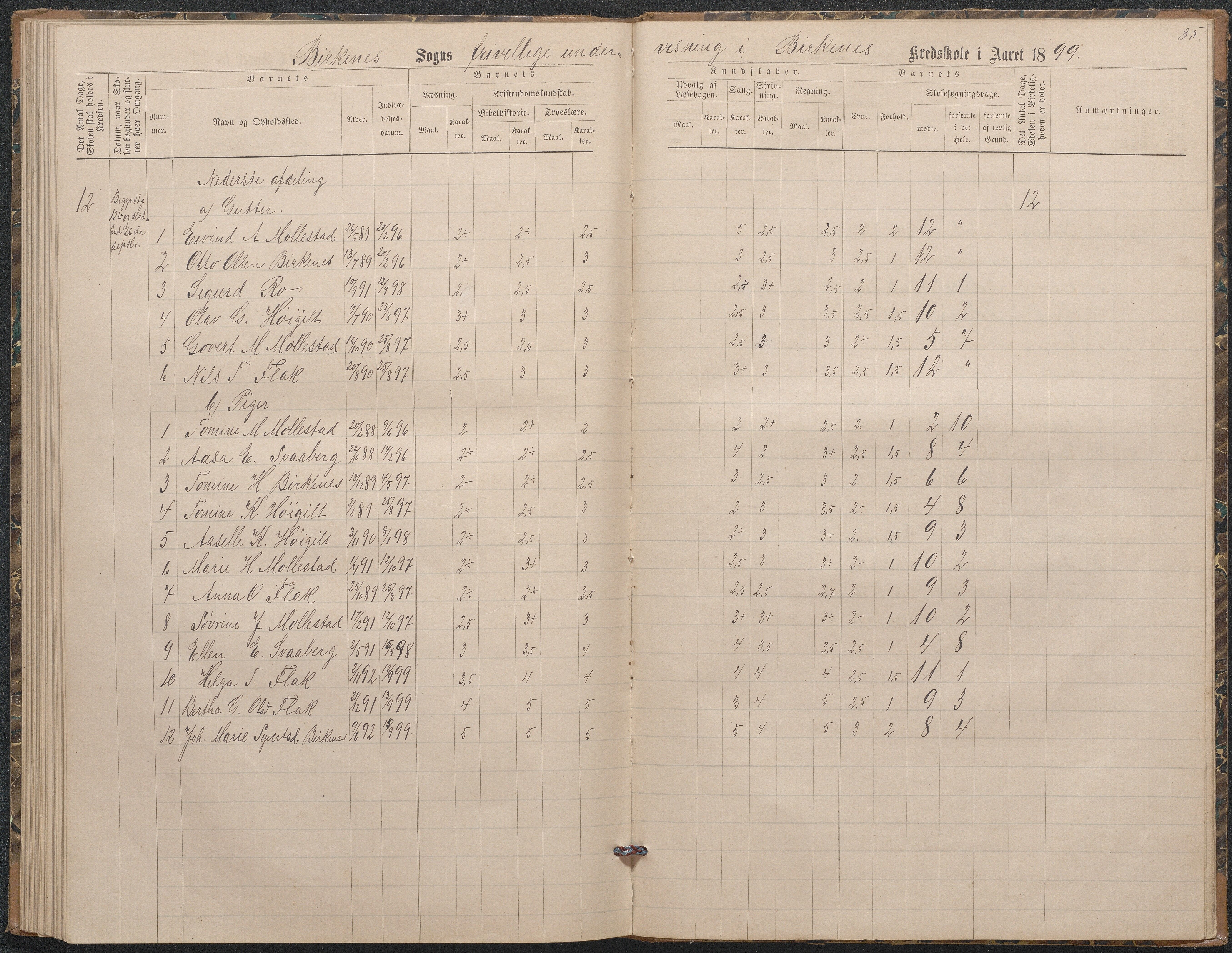 Birkenes kommune, Birkenes krets/Birkeland folkeskole frem til 1991, AAKS/KA0928-550a_91/F02/L0003: Skoleprotokoll, 1879-1891, p. 83