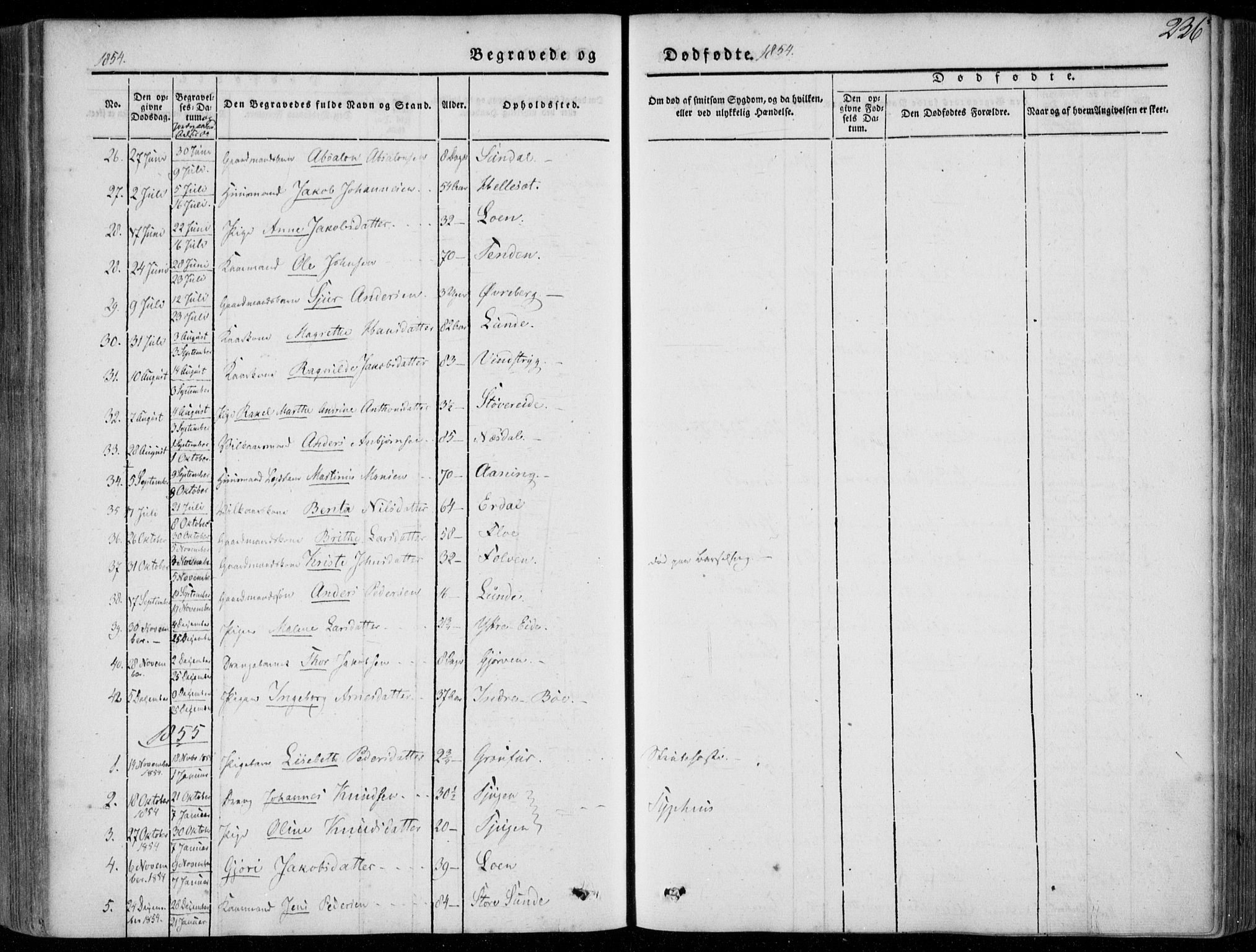 Stryn Sokneprestembete, SAB/A-82501: Parish register (official) no. A 2, 1844-1861, p. 236