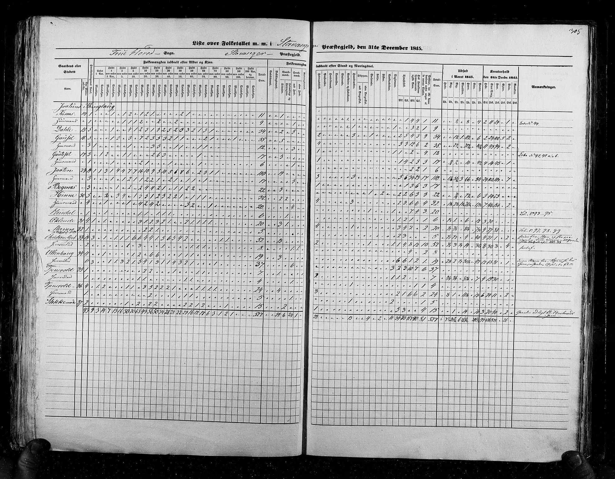 RA, Census 1845, vol. 6: Lister og Mandal amt og Stavanger amt, 1845, p. 305