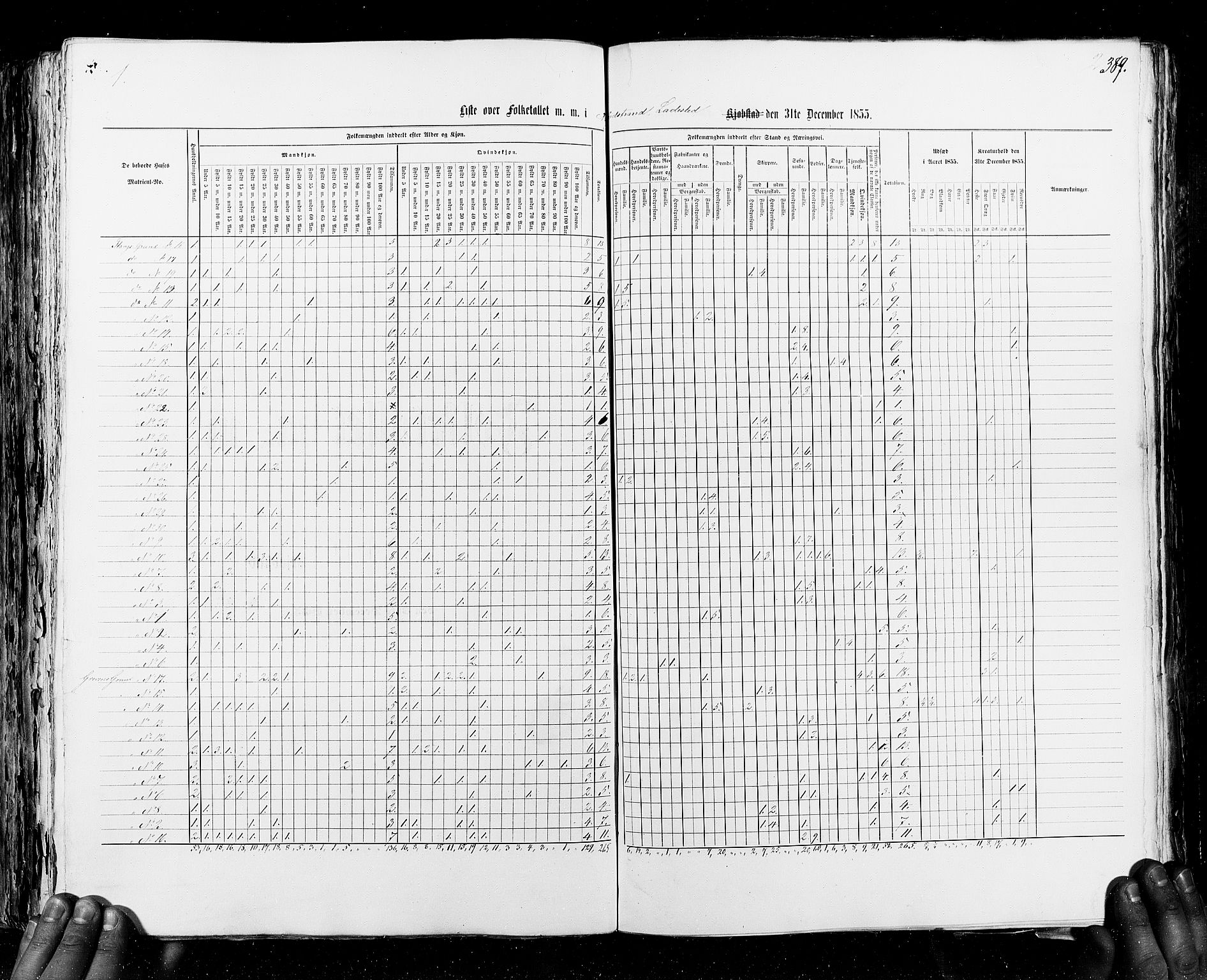 RA, Census 1855, vol. 7: Fredrikshald-Kragerø, 1855, p. 389