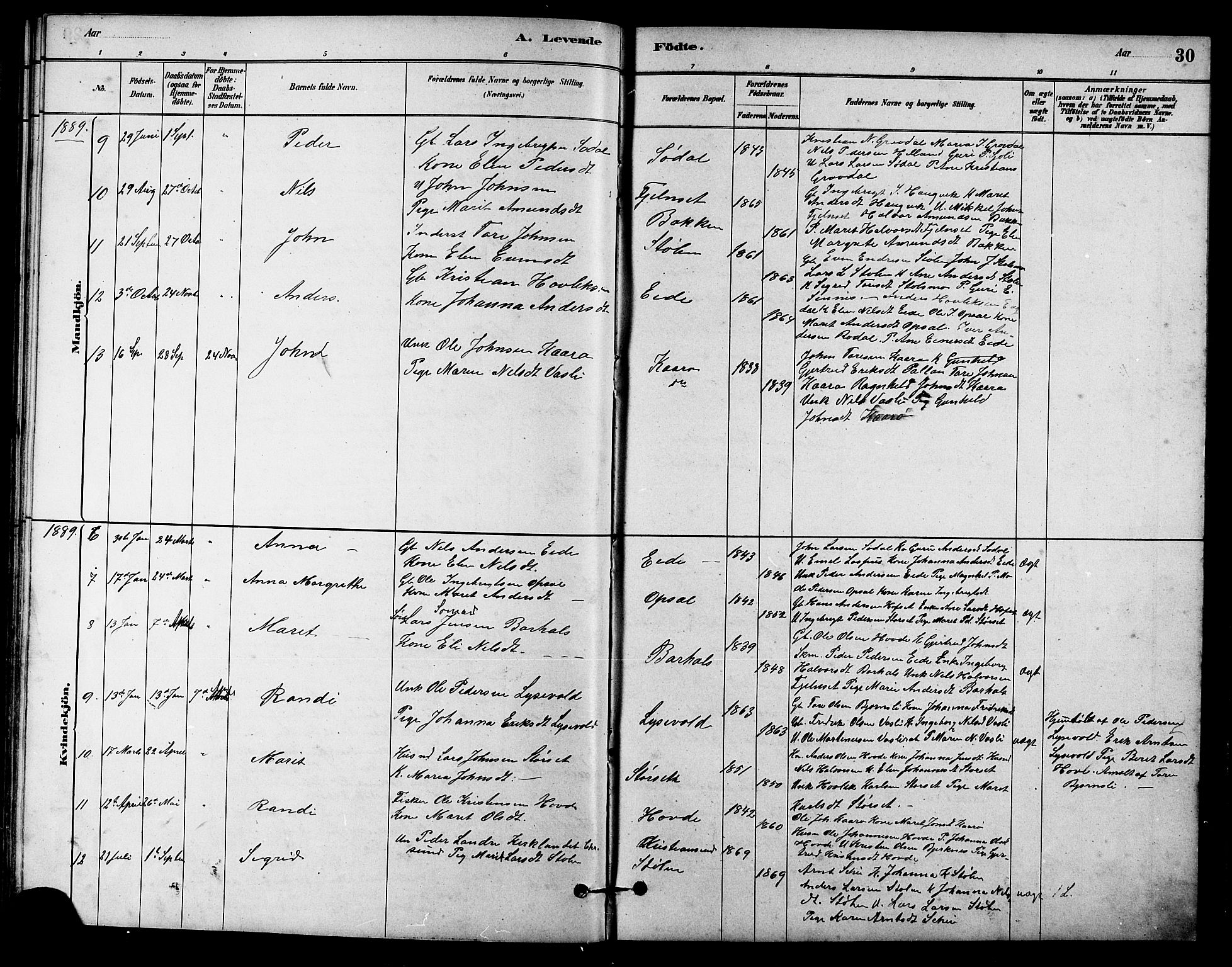 Ministerialprotokoller, klokkerbøker og fødselsregistre - Sør-Trøndelag, AV/SAT-A-1456/631/L0514: Parish register (copy) no. 631C02, 1879-1912, p. 30