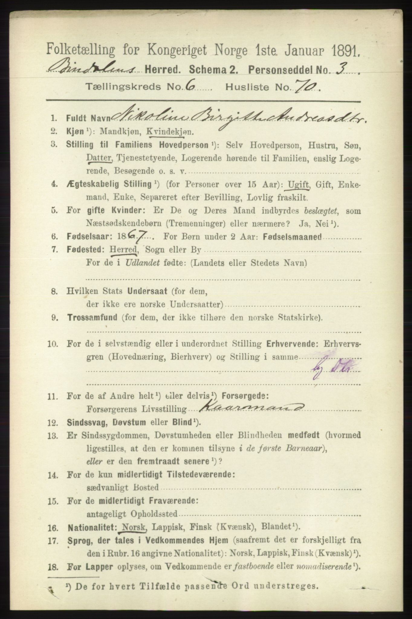 RA, 1891 census for 1811 Bindal, 1891, p. 2191