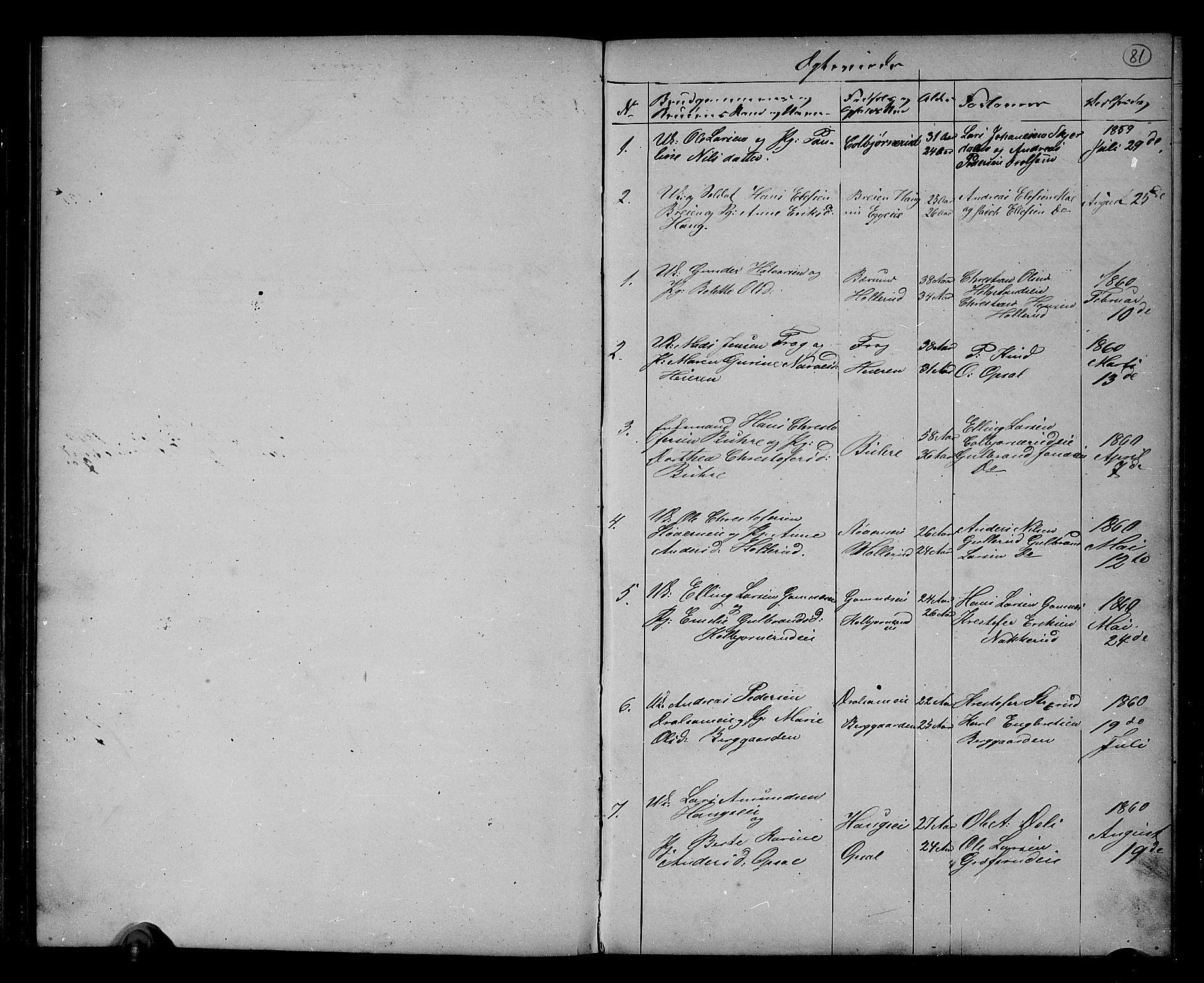 Hole kirkebøker, SAKO/A-228/G/Gb/L0001: Parish register (copy) no. II 1, 1859-1878, p. 81