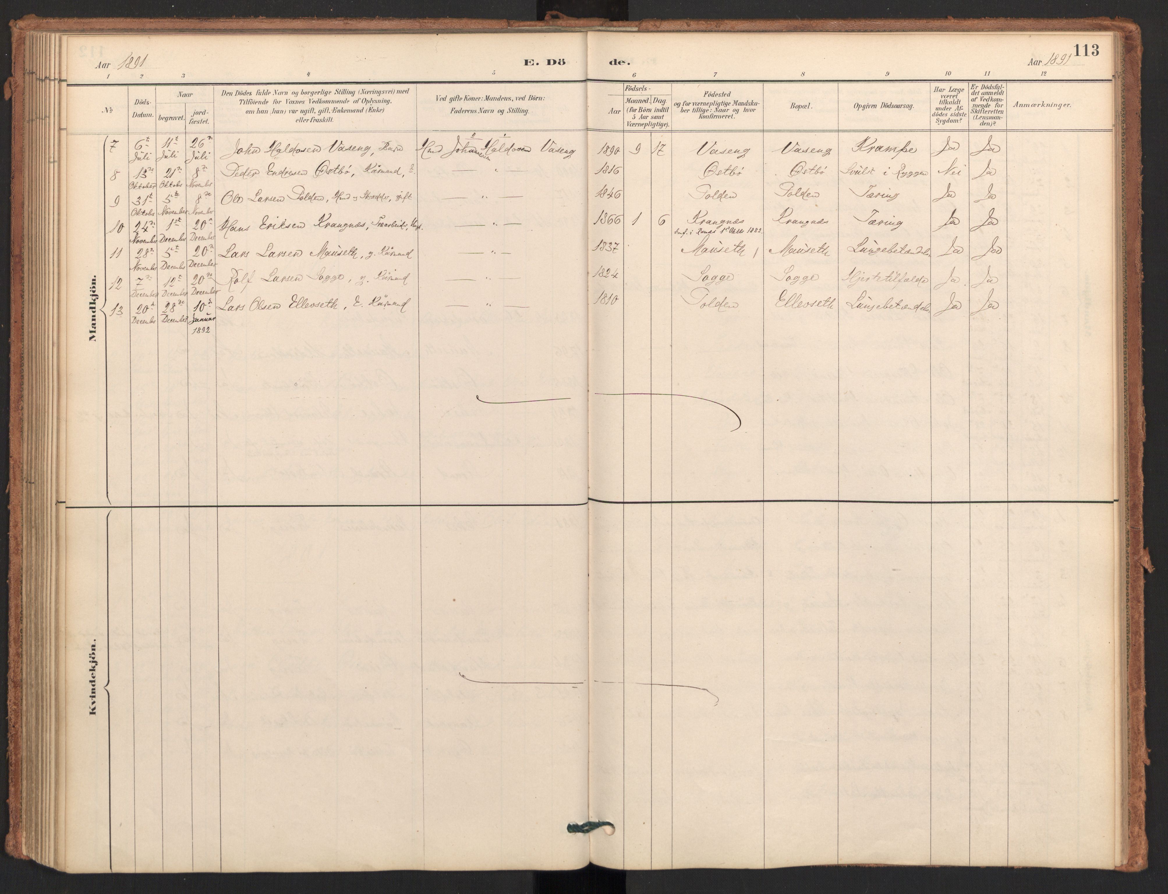 Ministerialprotokoller, klokkerbøker og fødselsregistre - Møre og Romsdal, AV/SAT-A-1454/596/L1056: Parish register (official) no. 596A01, 1885-1900, p. 113