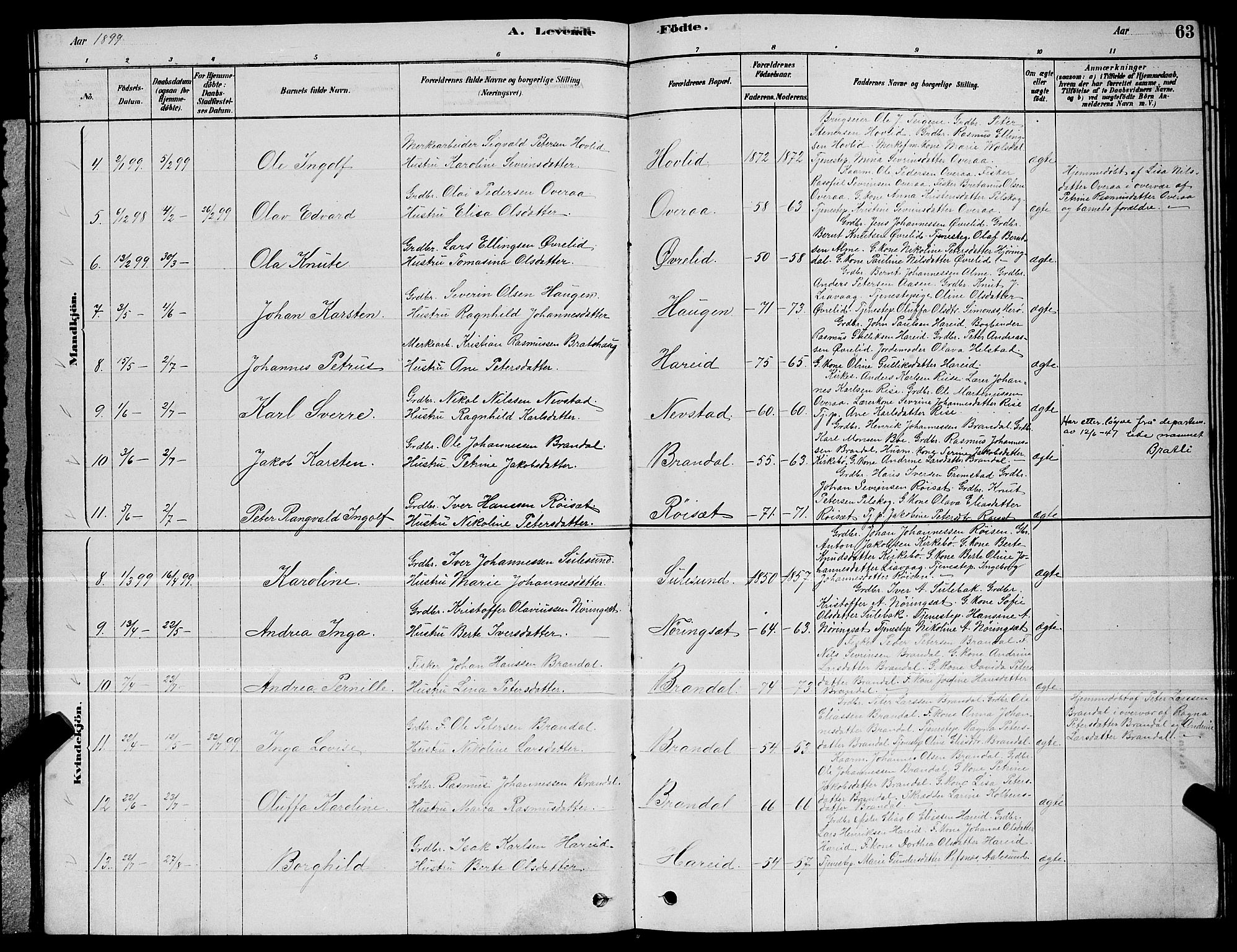 Ministerialprotokoller, klokkerbøker og fødselsregistre - Møre og Romsdal, SAT/A-1454/510/L0125: Parish register (copy) no. 510C02, 1878-1900, p. 63