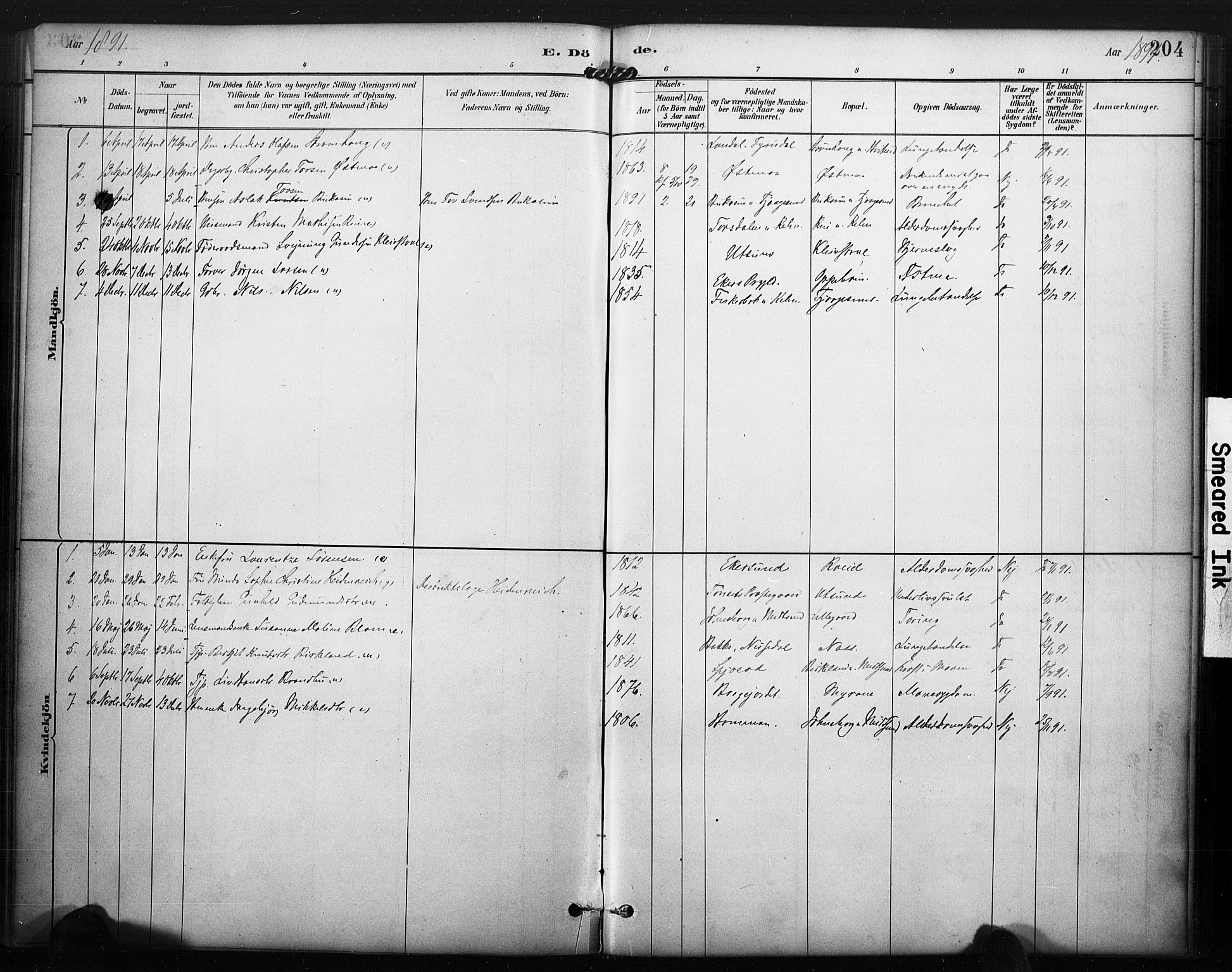 Kviteseid kirkebøker, SAKO/A-276/F/Fa/L0008: Parish register (official) no. I 8, 1882-1903, p. 204