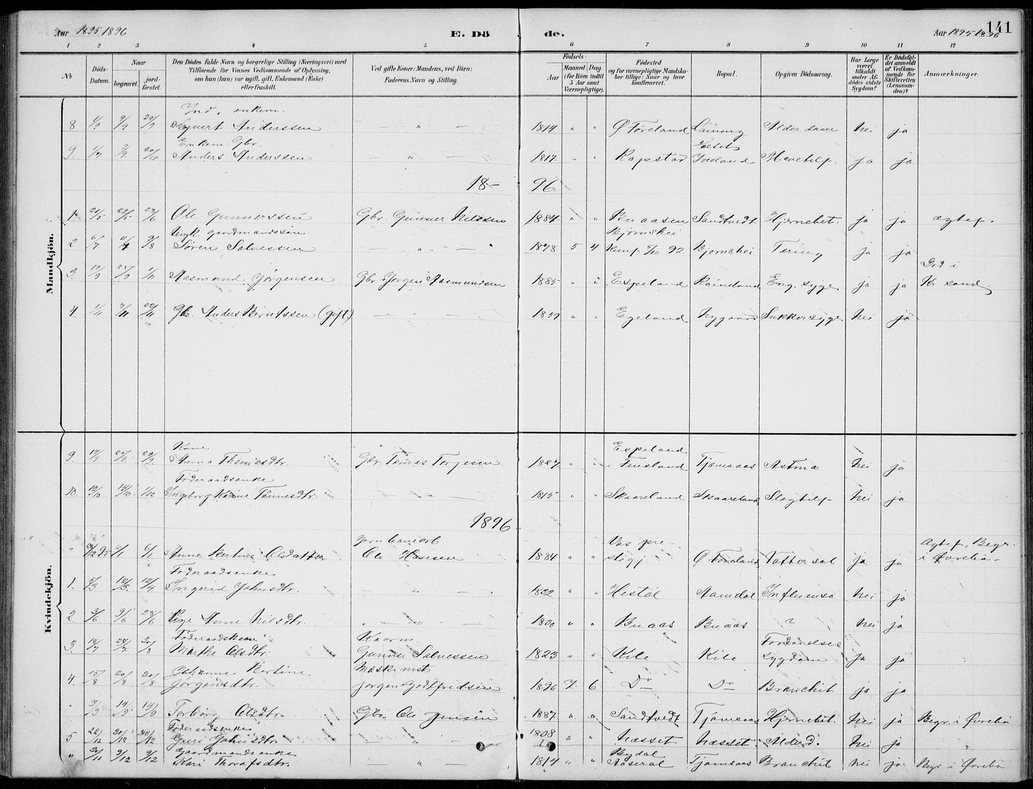 Vennesla sokneprestkontor, SAK/1111-0045/Fb/Fba/L0003: Parish register (copy) no. B 3, 1890-1919, p. 141