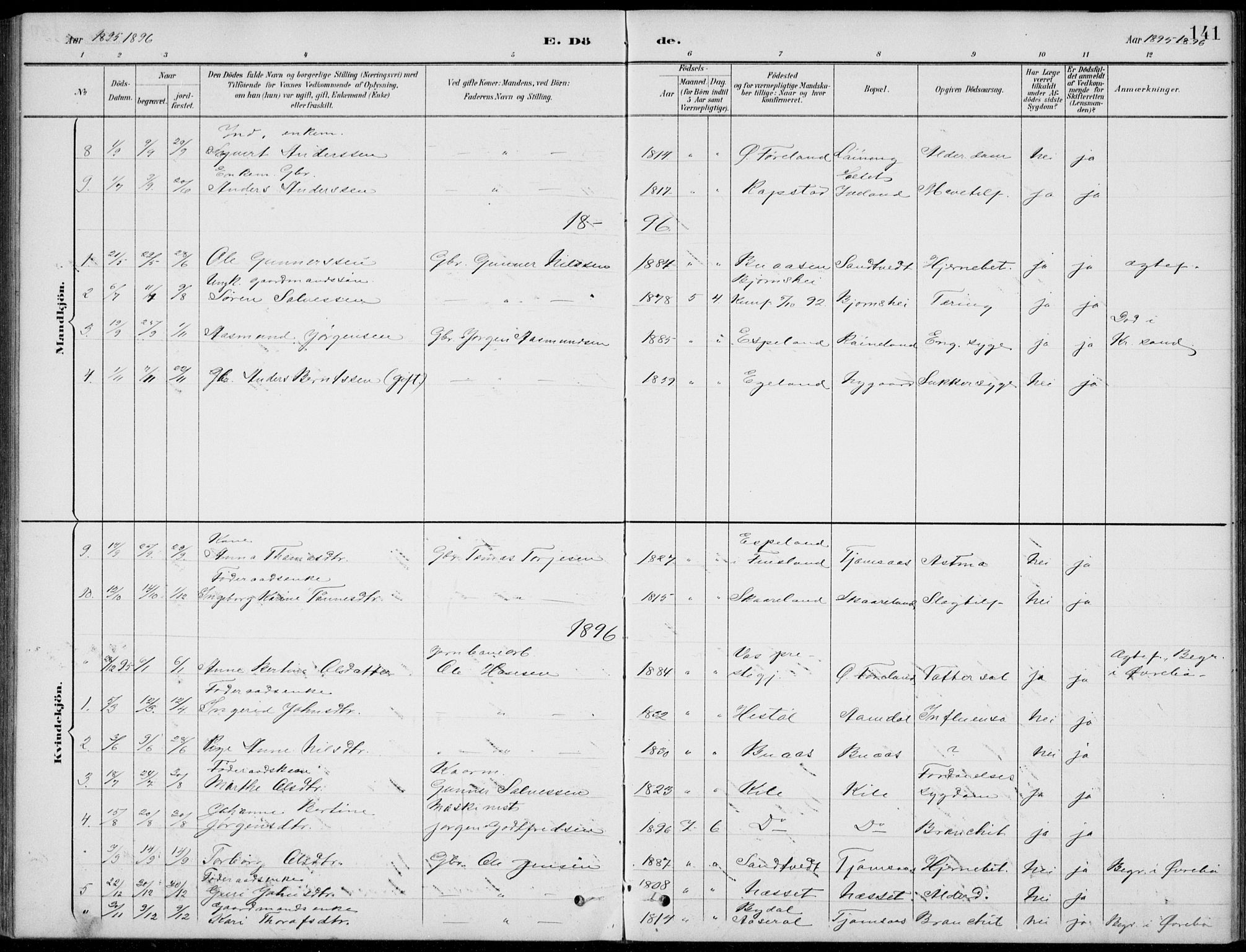 Vennesla sokneprestkontor, AV/SAK-1111-0045/Fb/Fba/L0003: Parish register (copy) no. B 3, 1890-1919, p. 141