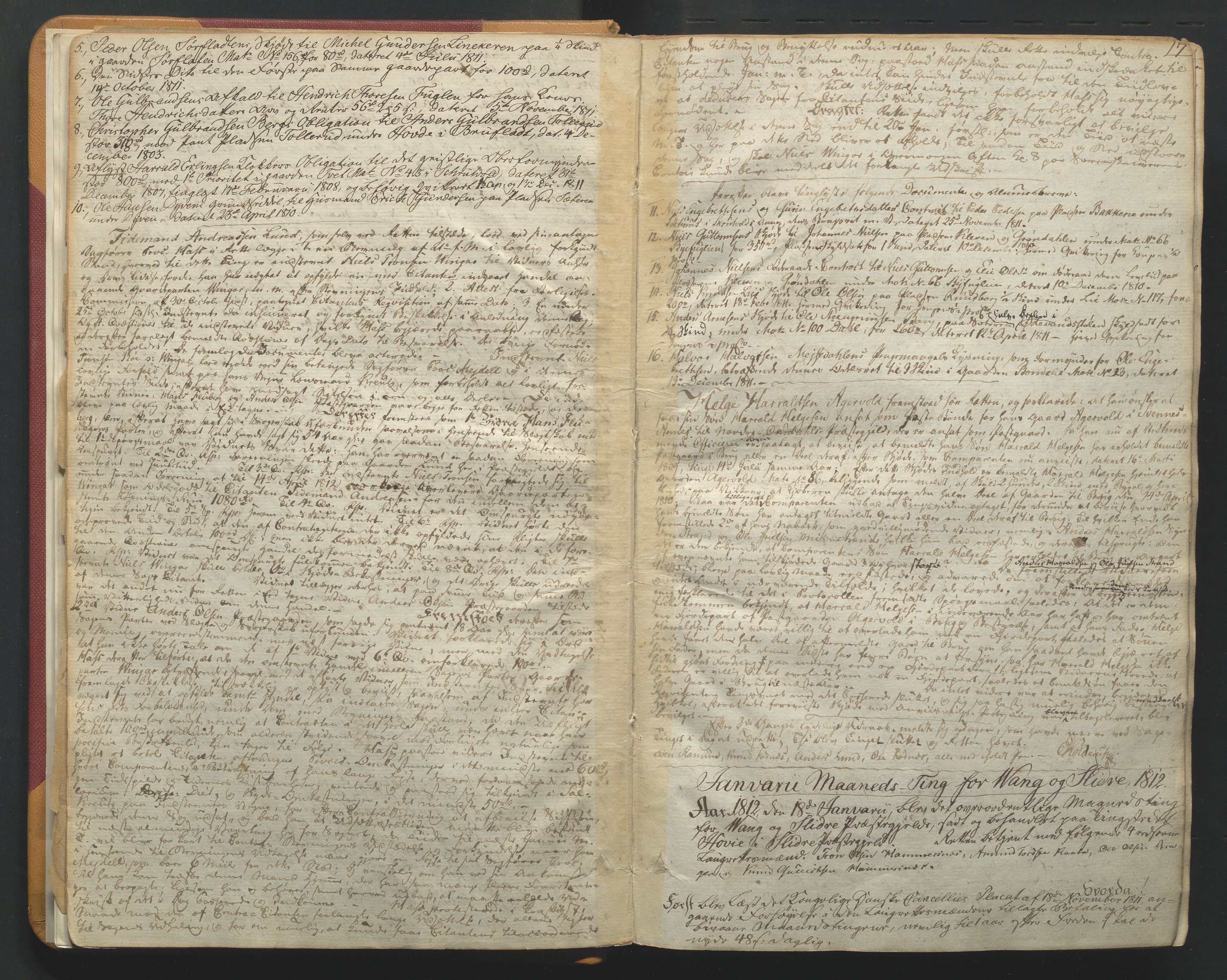 Valdres sorenskriveri, SAH/TING-016/G/Gb/L0005: Tingbok, 1811-1821, p. 16b-17a