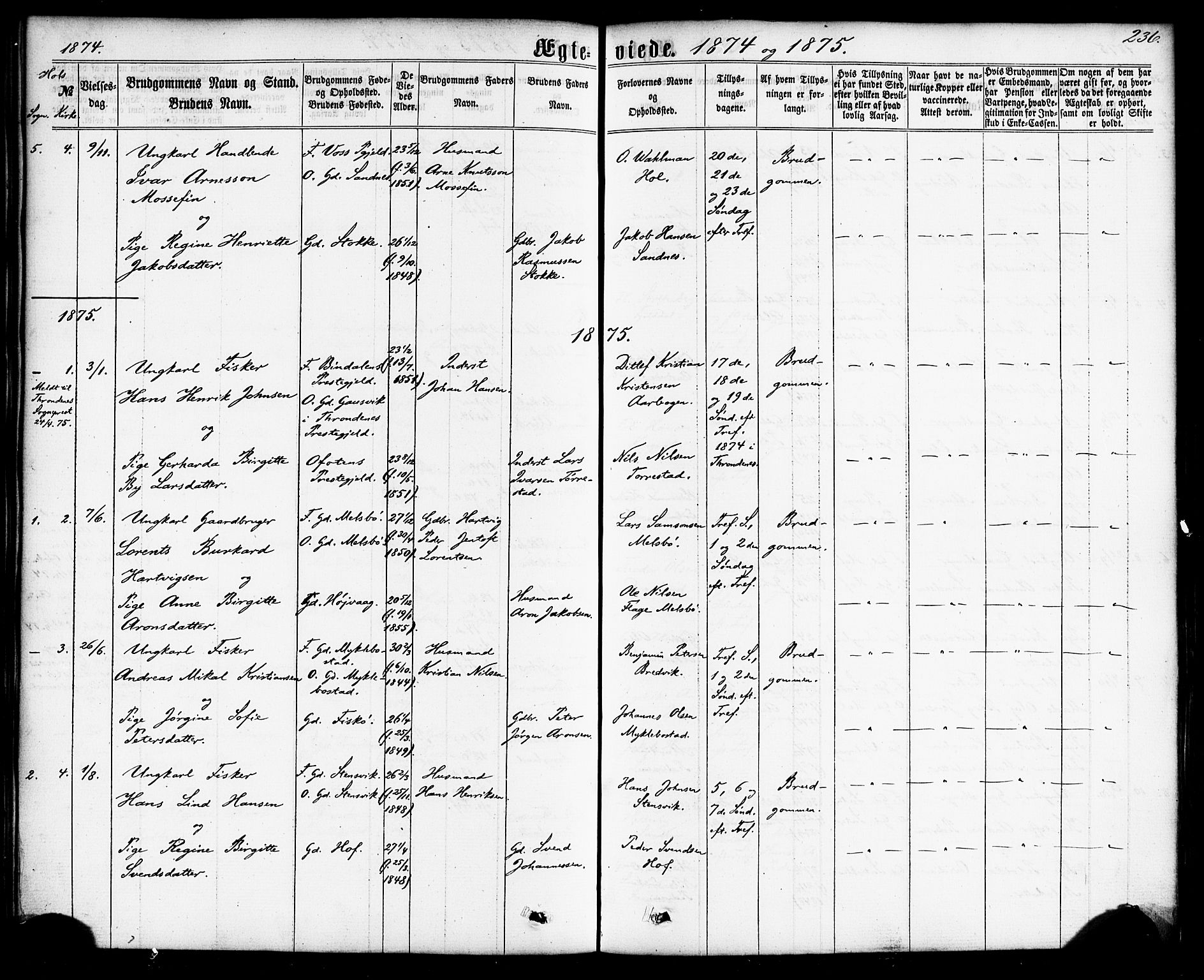 Ministerialprotokoller, klokkerbøker og fødselsregistre - Nordland, AV/SAT-A-1459/865/L0923: Parish register (official) no. 865A01, 1864-1884, p. 236