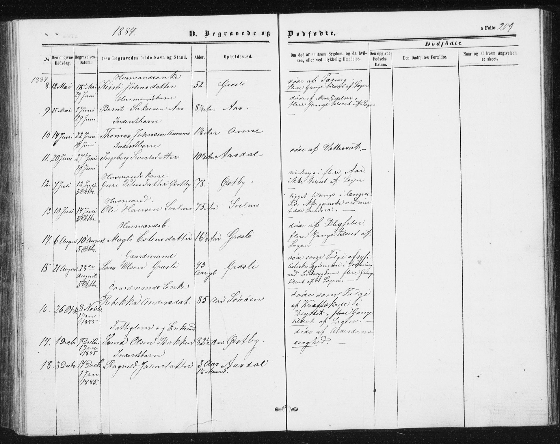 Ministerialprotokoller, klokkerbøker og fødselsregistre - Sør-Trøndelag, SAT/A-1456/698/L1166: Parish register (copy) no. 698C03, 1861-1887, p. 209
