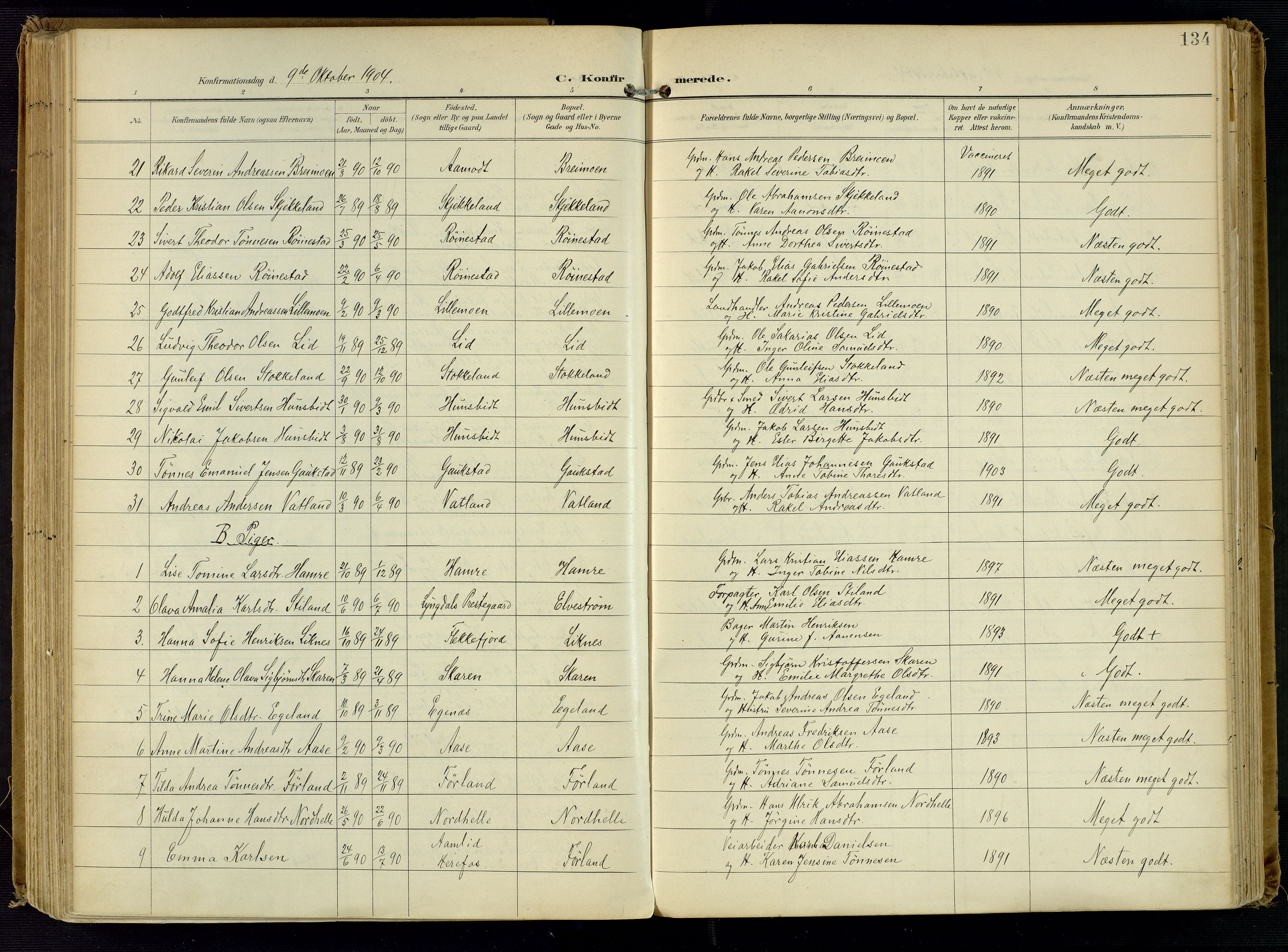 Kvinesdal sokneprestkontor, AV/SAK-1111-0026/F/Fa/Fab/L0009: Parish register (official) no. A 9, 1898-1915, p. 134