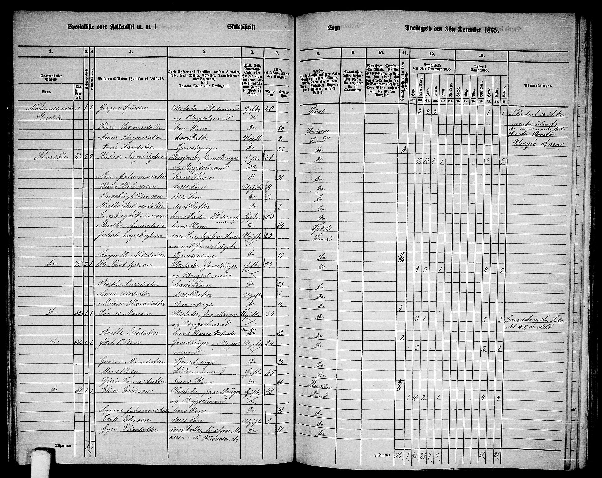 RA, 1865 census for Sund, 1865, p. 120