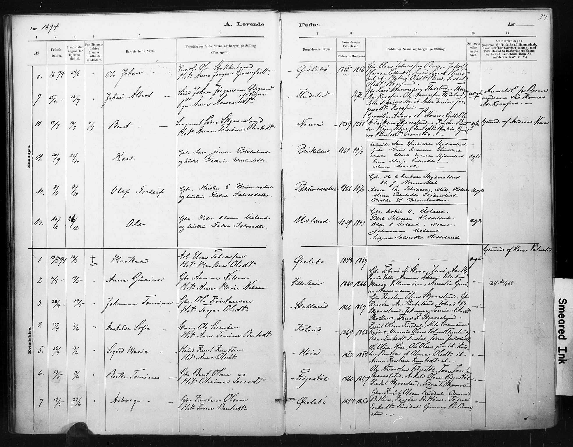 Holum sokneprestkontor, AV/SAK-1111-0022/F/Fa/Fac/L0004: Parish register (official) no. A 4, 1884-1907, p. 24