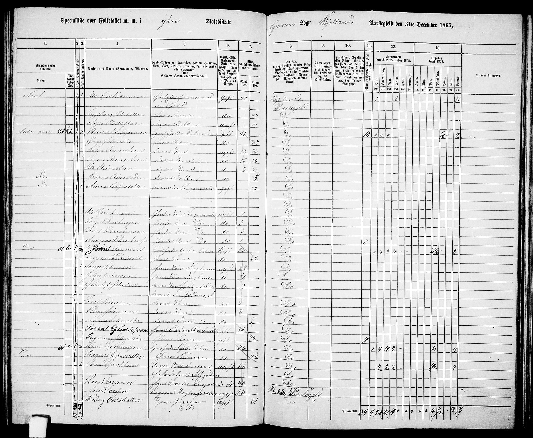 RA, 1865 census for Bjelland, 1865, p. 52