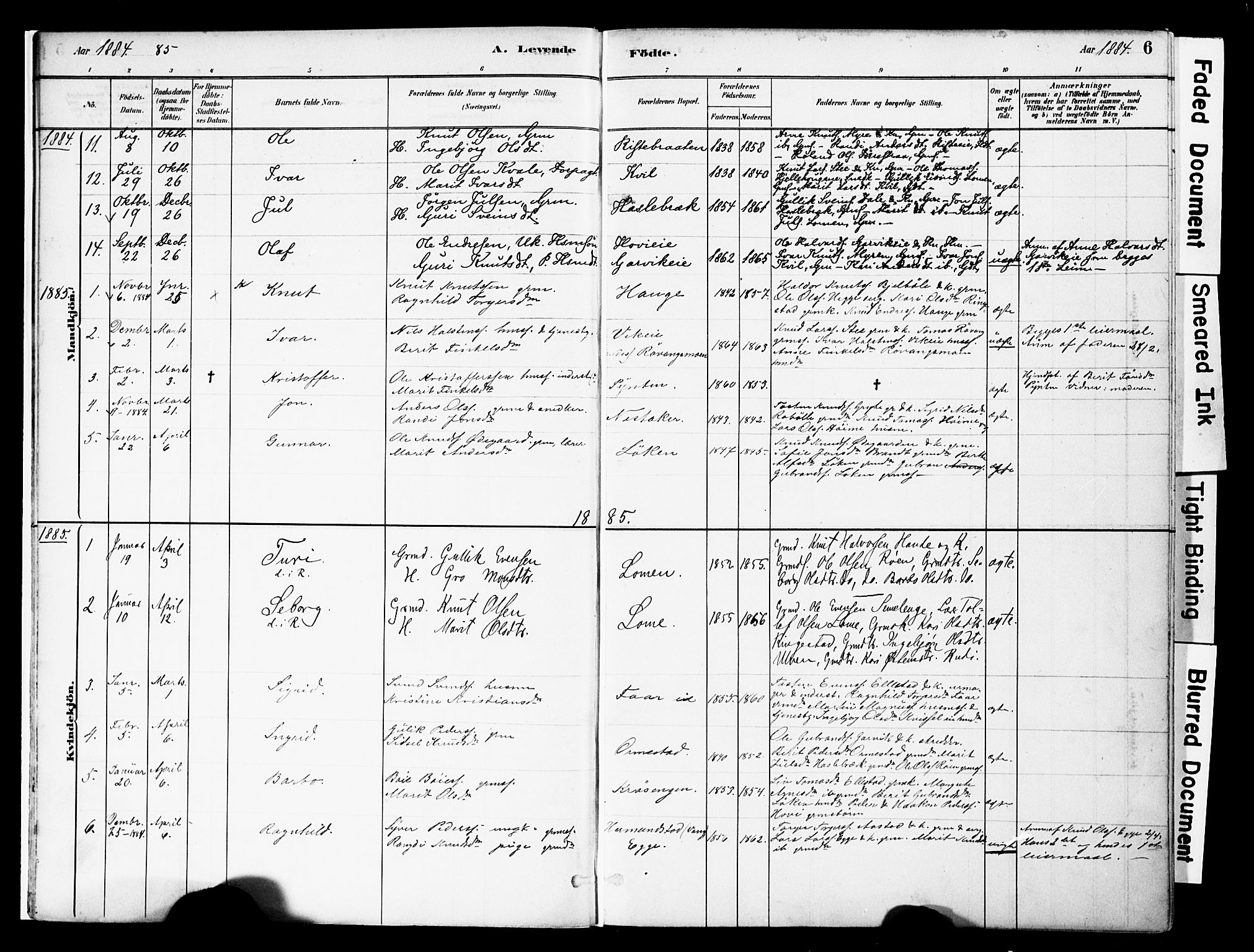 Vestre Slidre prestekontor, SAH/PREST-136/H/Ha/Haa/L0005: Parish register (official) no. 5, 1881-1912, p. 6