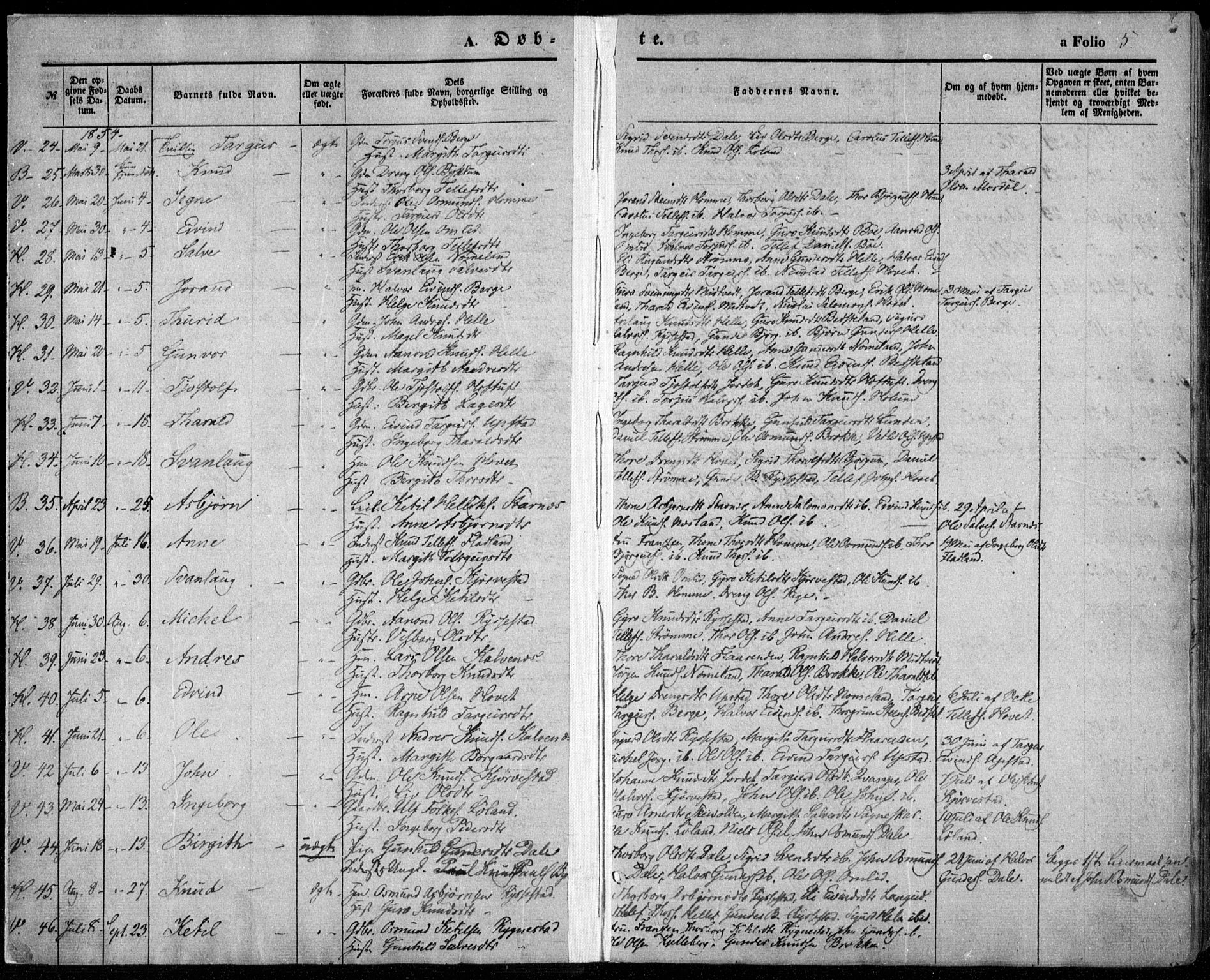 Valle sokneprestkontor, SAK/1111-0044/F/Fa/Fac/L0007: Parish register (official) no. A 7, 1854-1868, p. 5