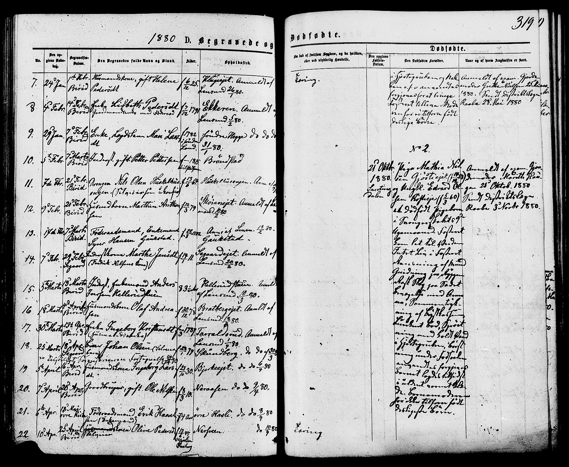 Biri prestekontor, SAH/PREST-096/H/Ha/Haa/L0006: Parish register (official) no. 6, 1877-1886, p. 319