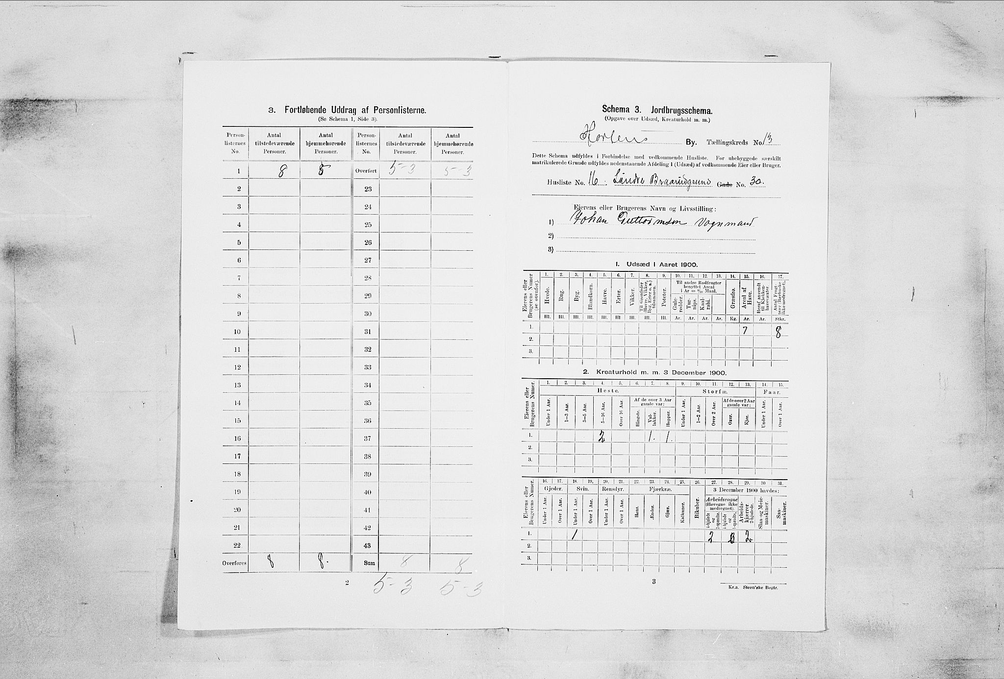 RA, 1900 census for Horten, 1900, p. 3819