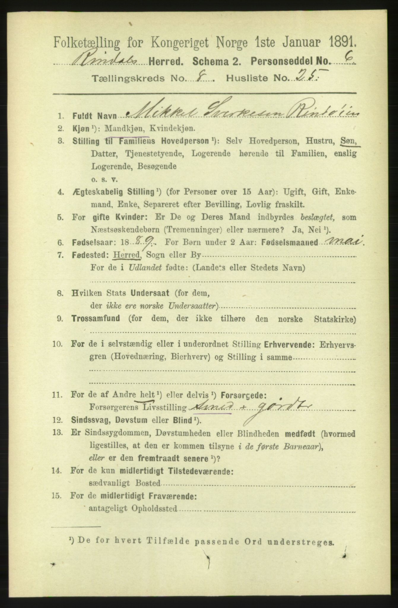 RA, 1891 census for 1567 Rindal, 1891, p. 2634