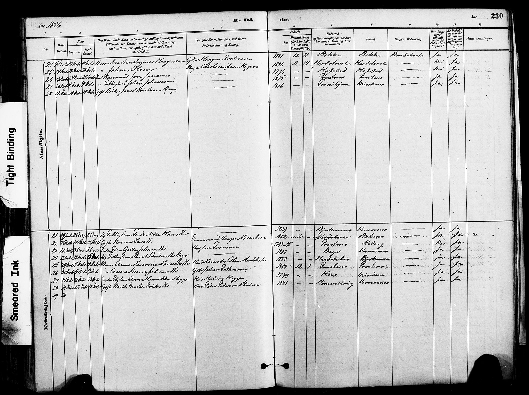 Ministerialprotokoller, klokkerbøker og fødselsregistre - Nord-Trøndelag, SAT/A-1458/709/L0077: Parish register (official) no. 709A17, 1880-1895, p. 230