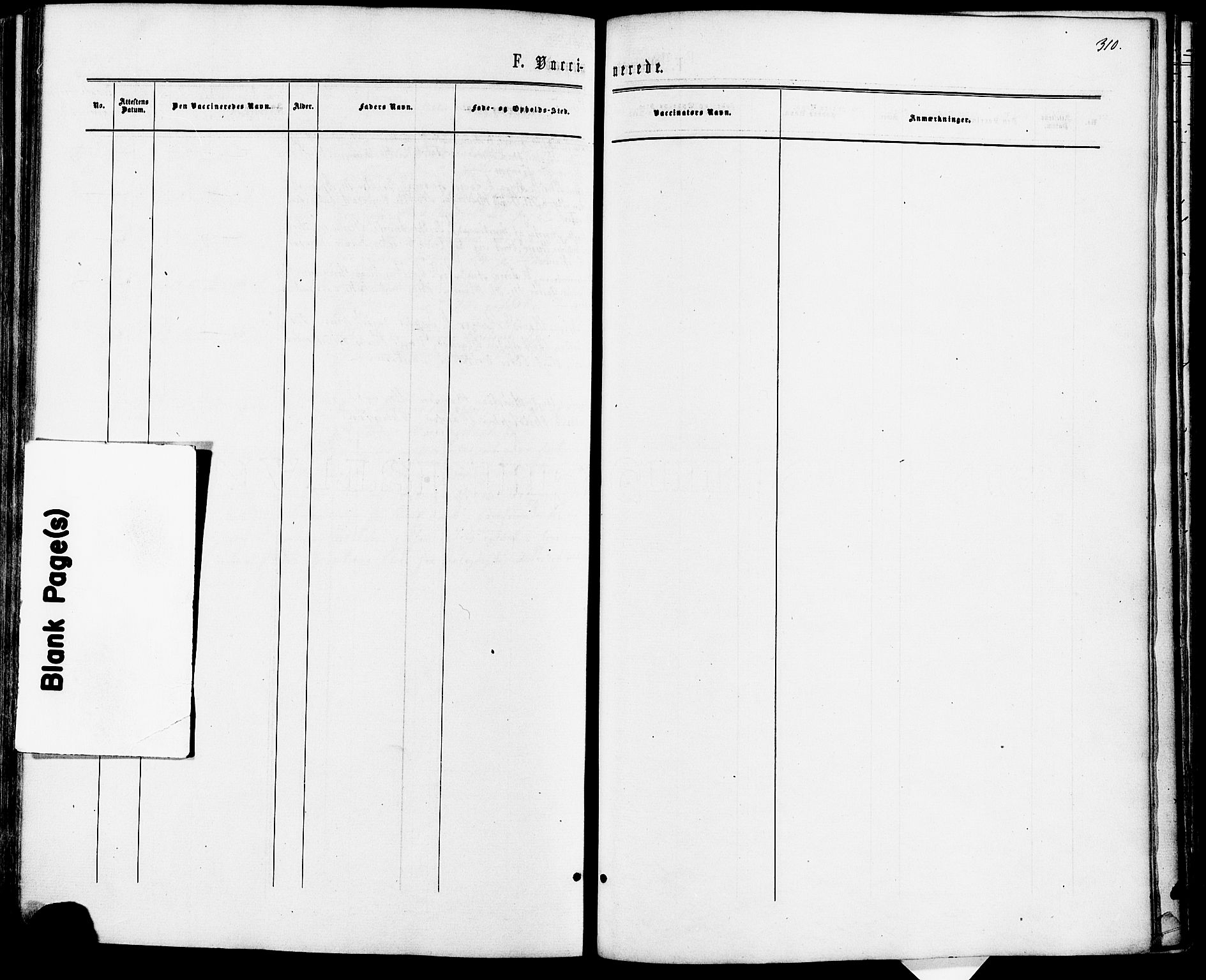 Fet prestekontor Kirkebøker, AV/SAO-A-10370a/F/Fa/L0013: Parish register (official) no. I 13, 1867-1877, p. 310