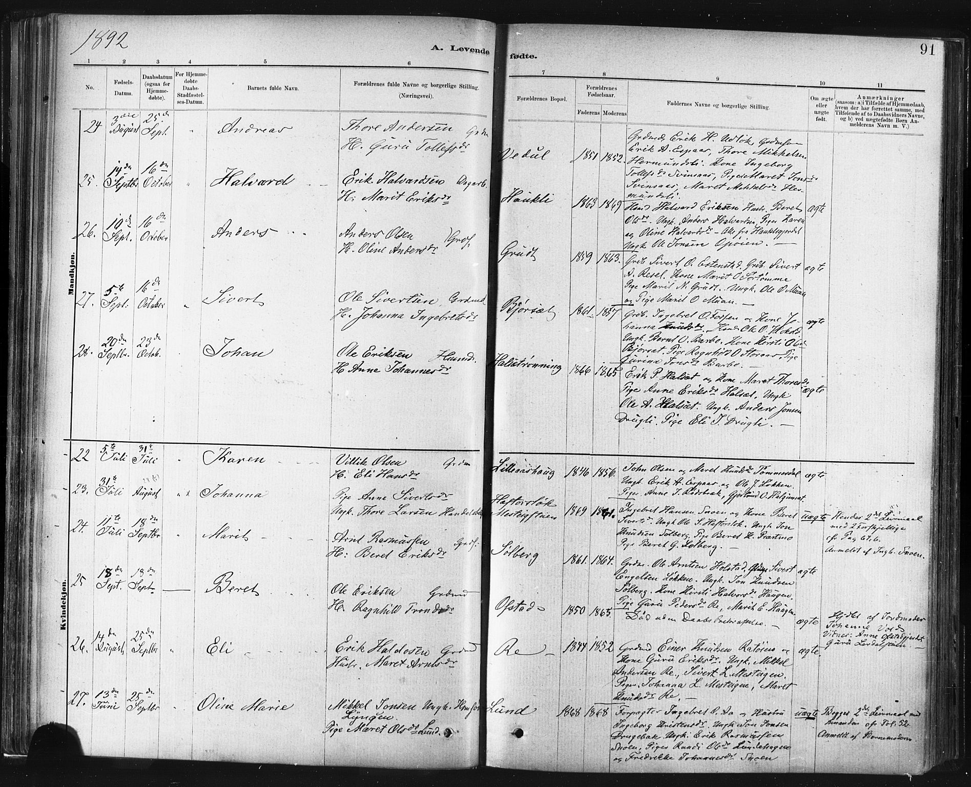 Ministerialprotokoller, klokkerbøker og fødselsregistre - Sør-Trøndelag, AV/SAT-A-1456/672/L0857: Parish register (official) no. 672A09, 1882-1893, p. 91