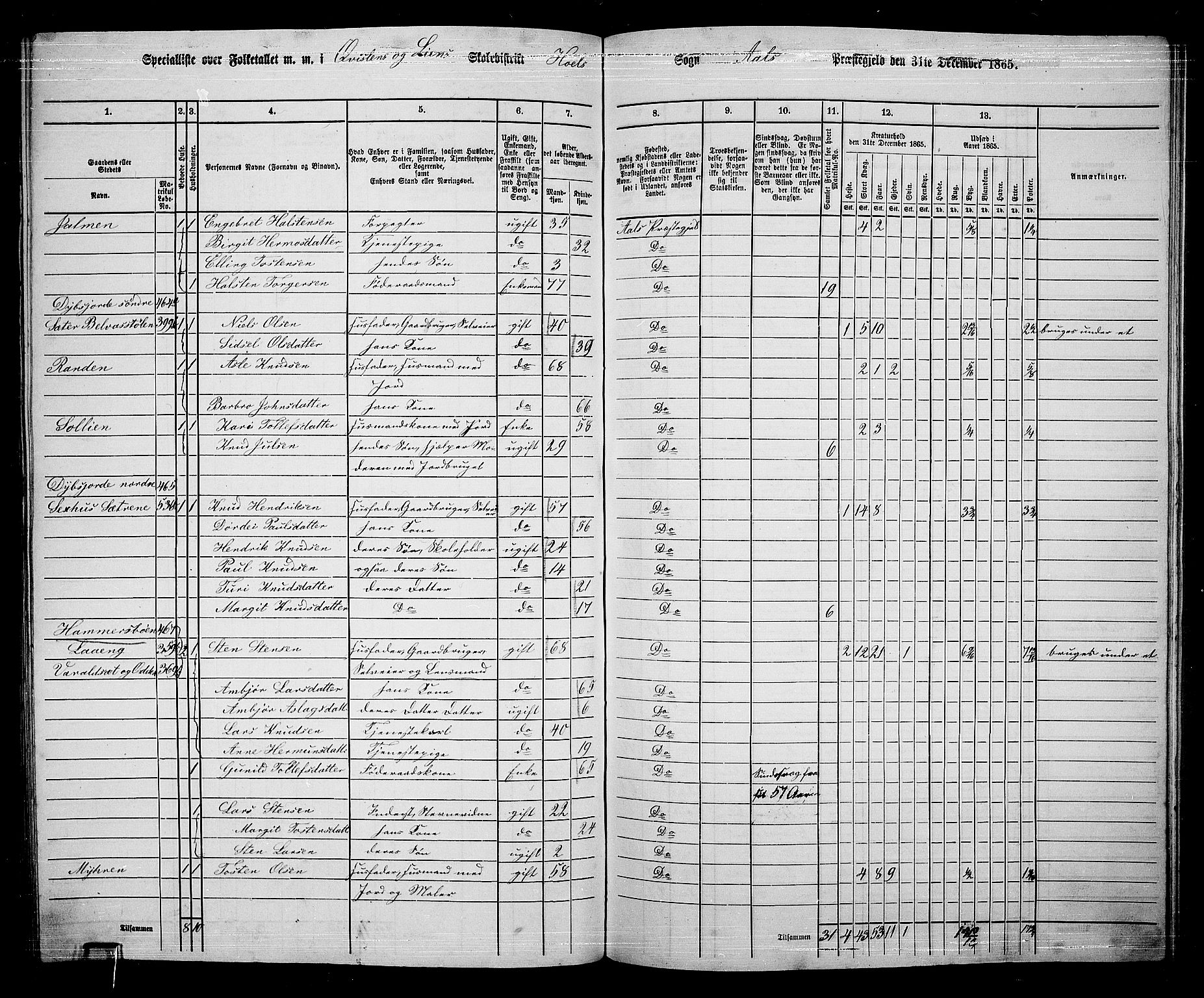 RA, 1865 census for Ål, 1865, p. 228