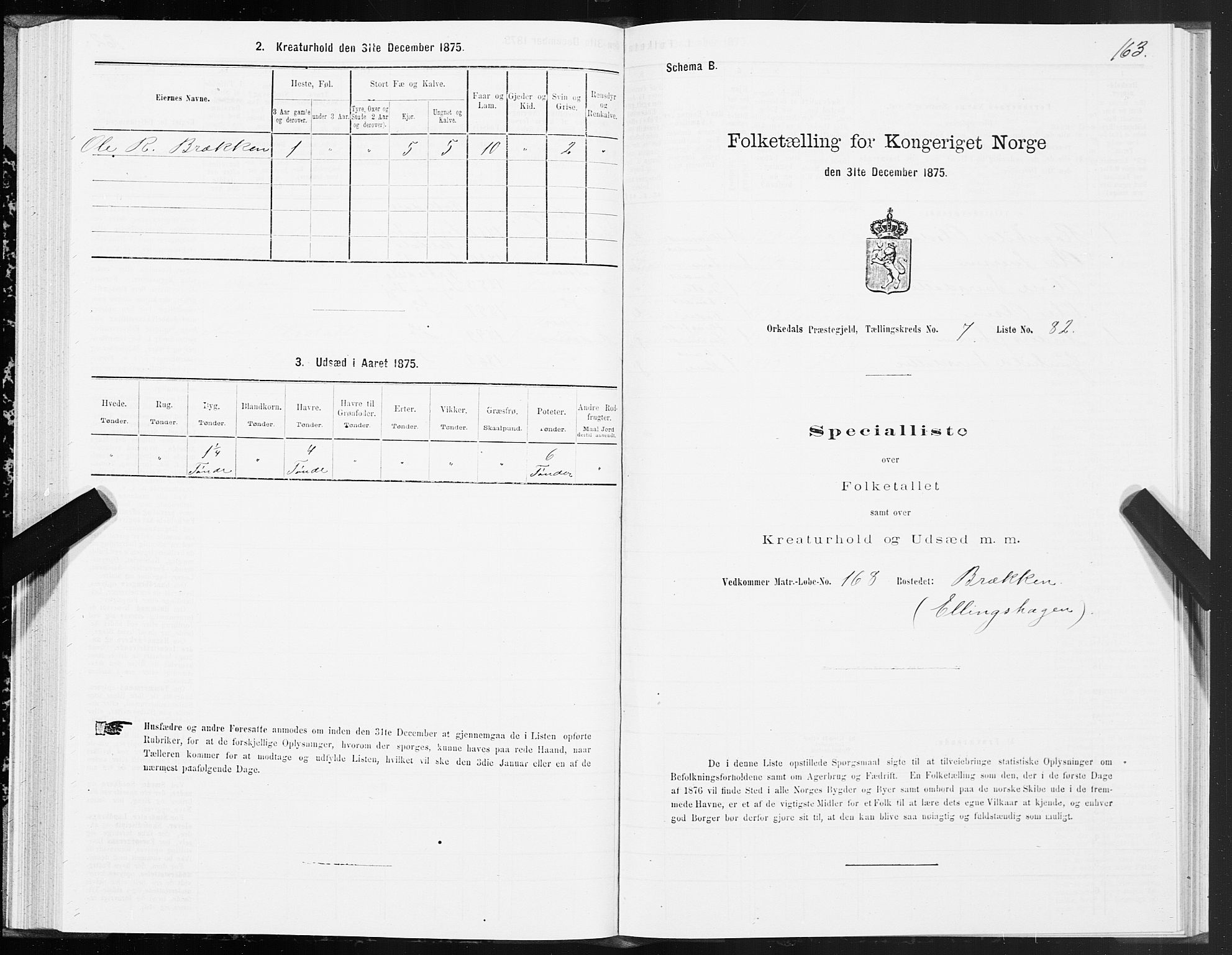 SAT, 1875 census for 1638P Orkdal, 1875, p. 4163