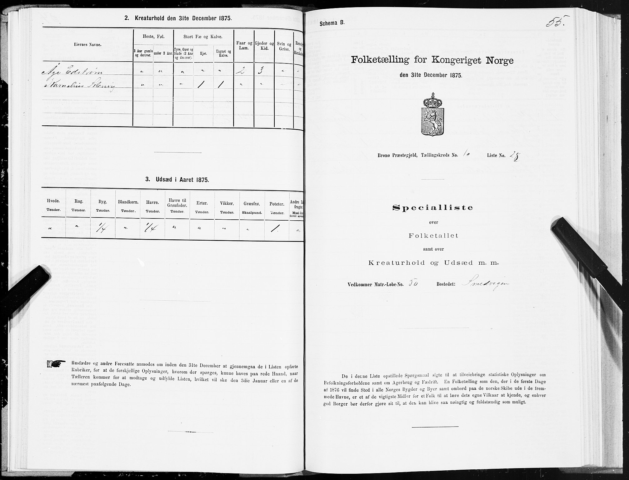 SAT, 1875 census for 1814P Brønnøy, 1875, p. 1055