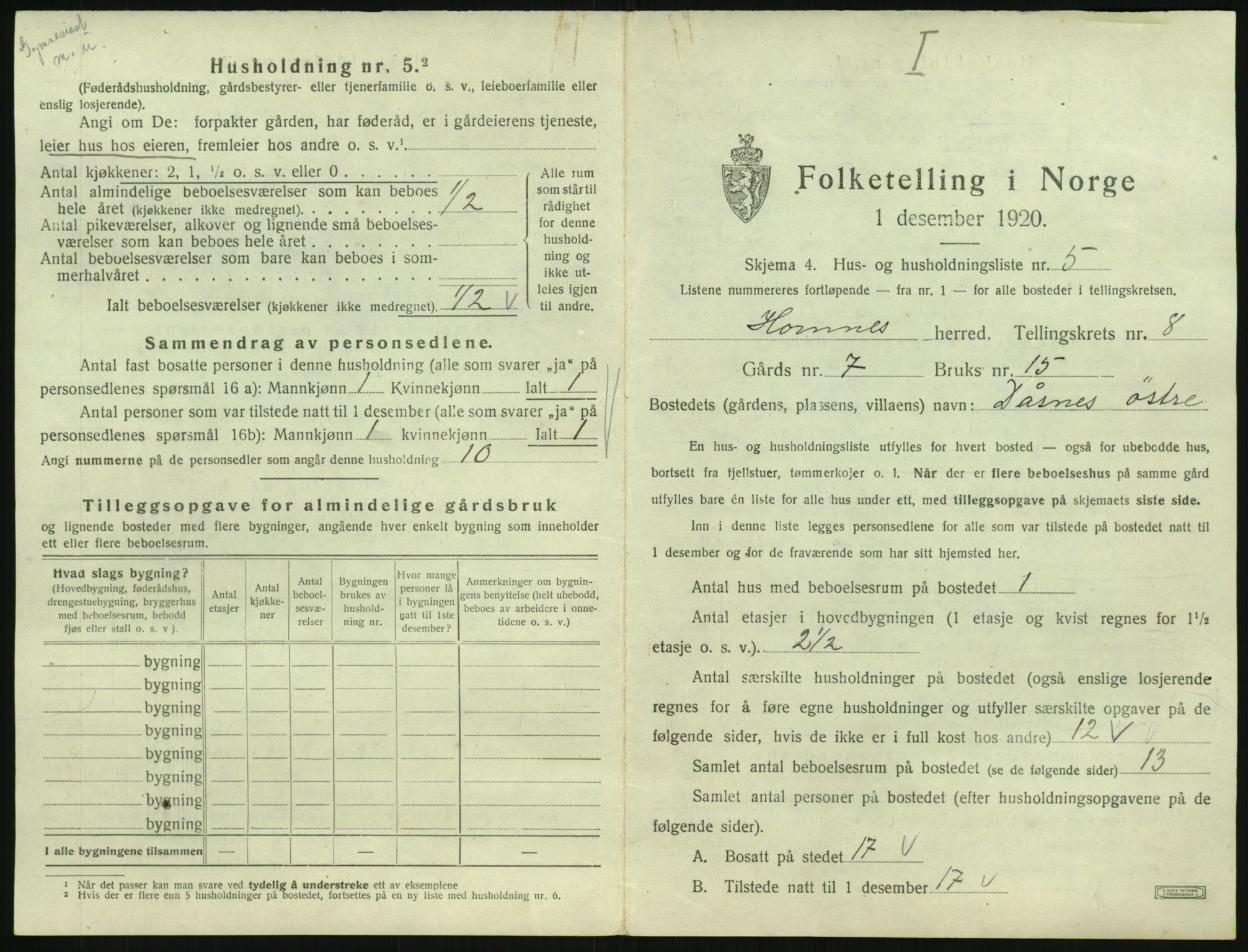 SAK, 1920 census for Hornnes, 1920, p. 295