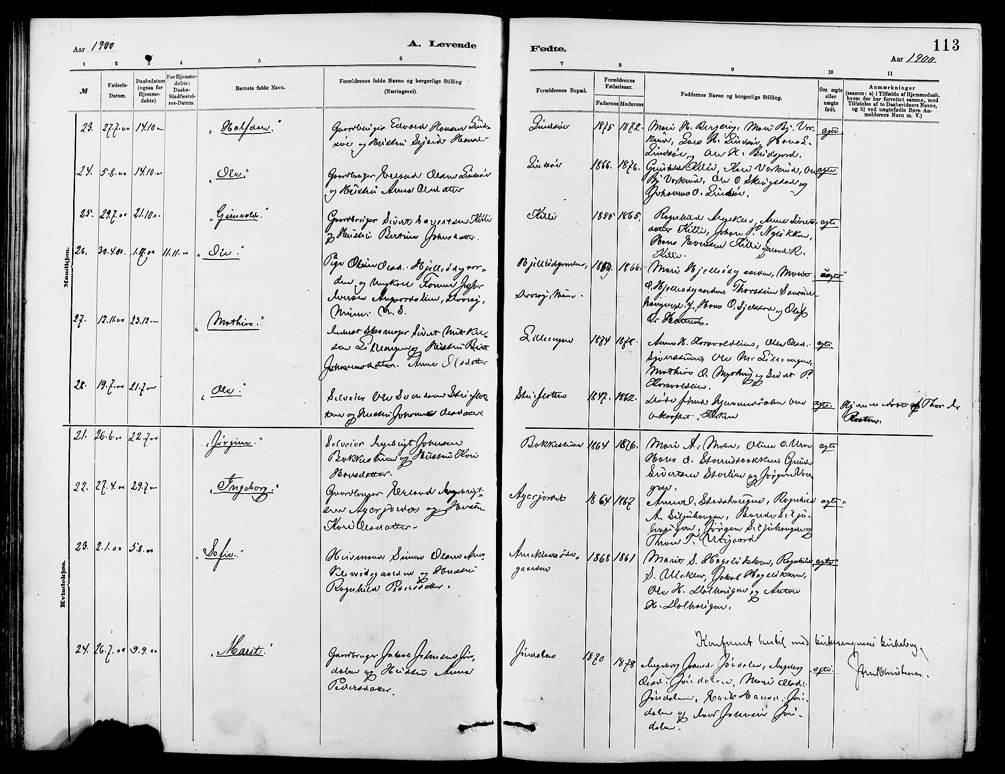 Dovre prestekontor, SAH/PREST-066/H/Ha/Hab/L0002: Parish register (copy) no. 2, 1881-1907, p. 113