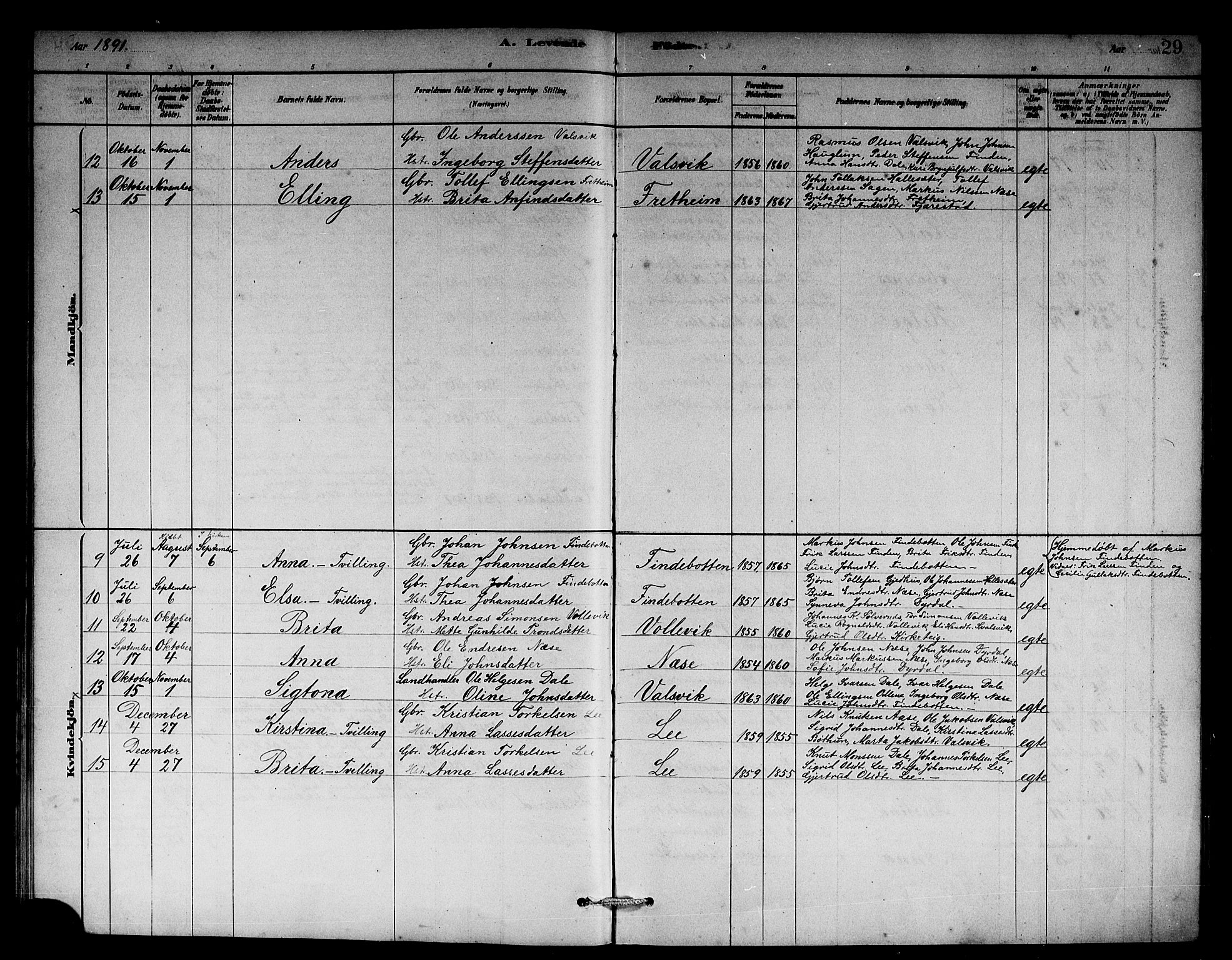 Vik sokneprestembete, AV/SAB-A-81501/H/Hab/Habb/L0002: Parish register (copy) no. B 2, 1878-1893, p. 29