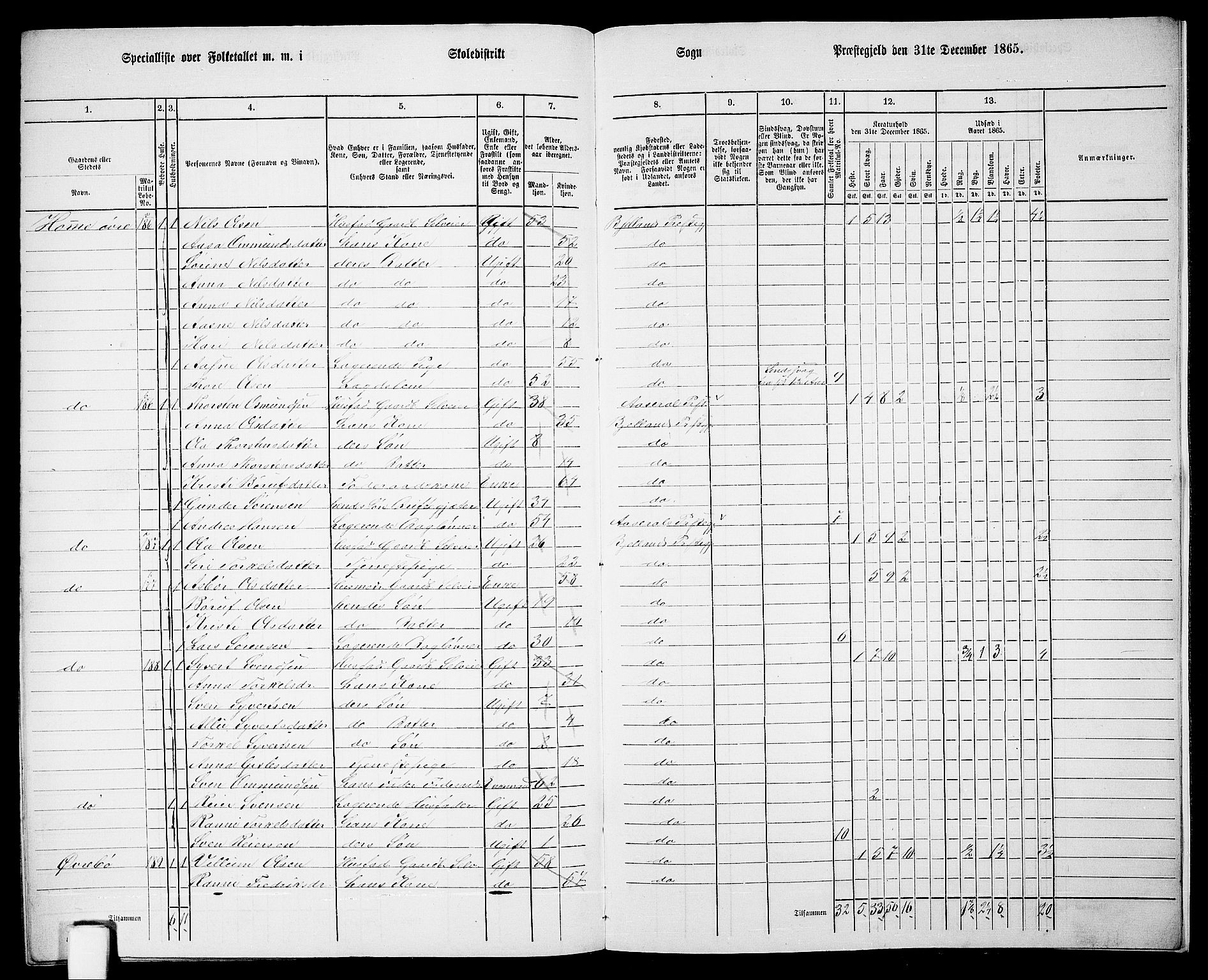 RA, 1865 census for Bjelland, 1865, p. 113