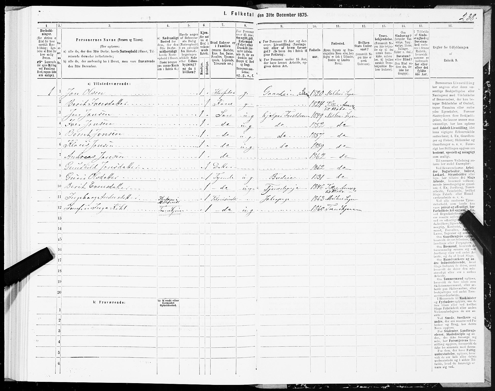 SAT, 1875 census for 1653P Melhus, 1875, p. 3238