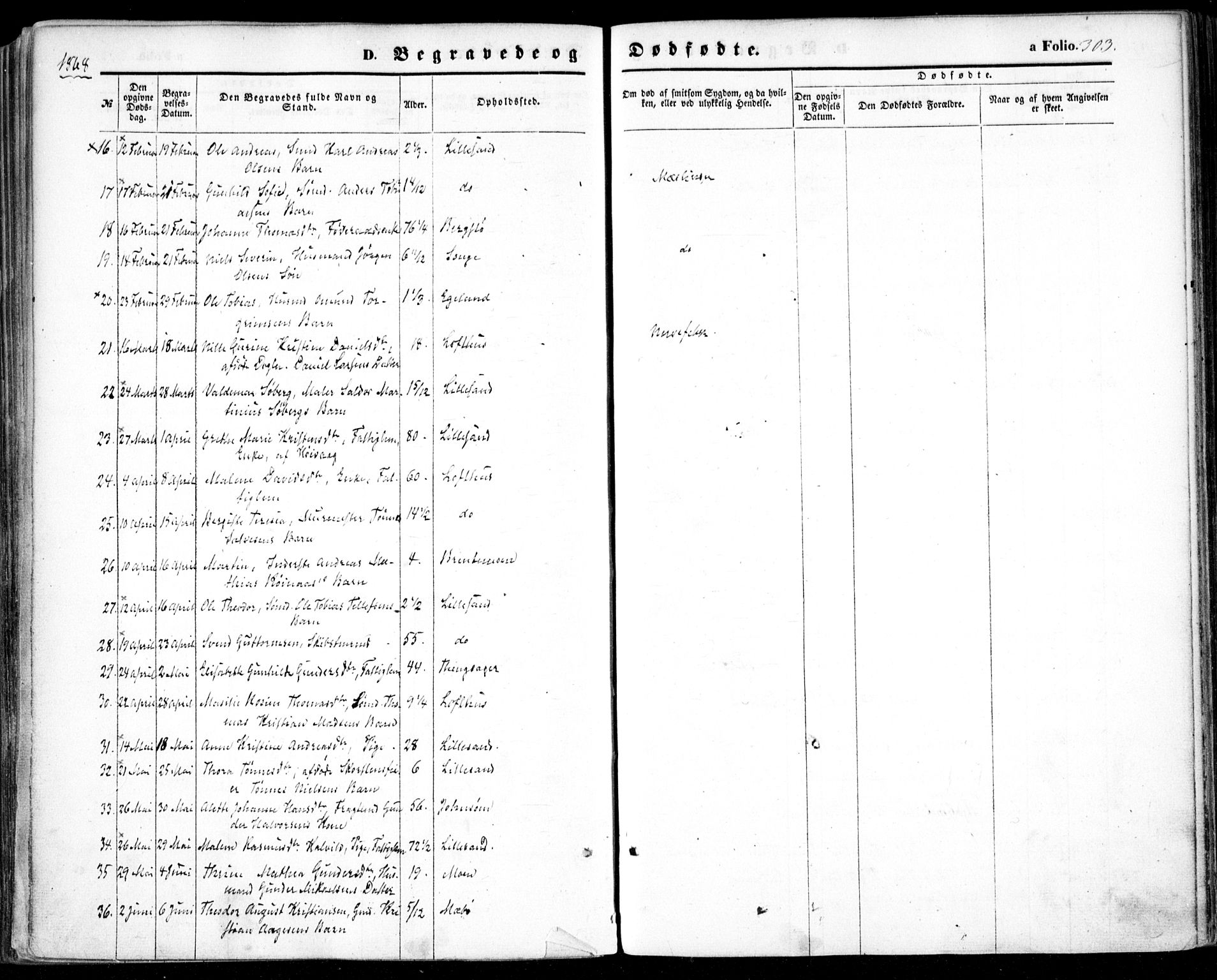 Vestre Moland sokneprestkontor, AV/SAK-1111-0046/F/Fa/Fab/L0007: Parish register (official) no. A 7, 1859-1872, p. 303