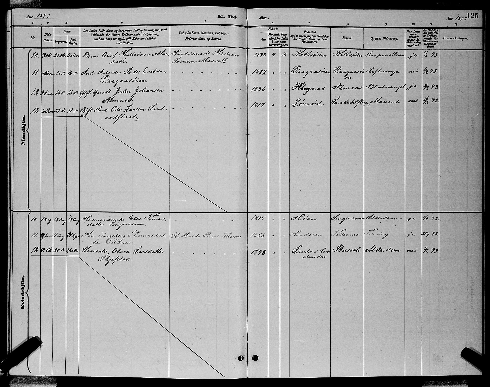 Ministerialprotokoller, klokkerbøker og fødselsregistre - Sør-Trøndelag, SAT/A-1456/688/L1028: Parish register (copy) no. 688C03, 1889-1899, p. 125