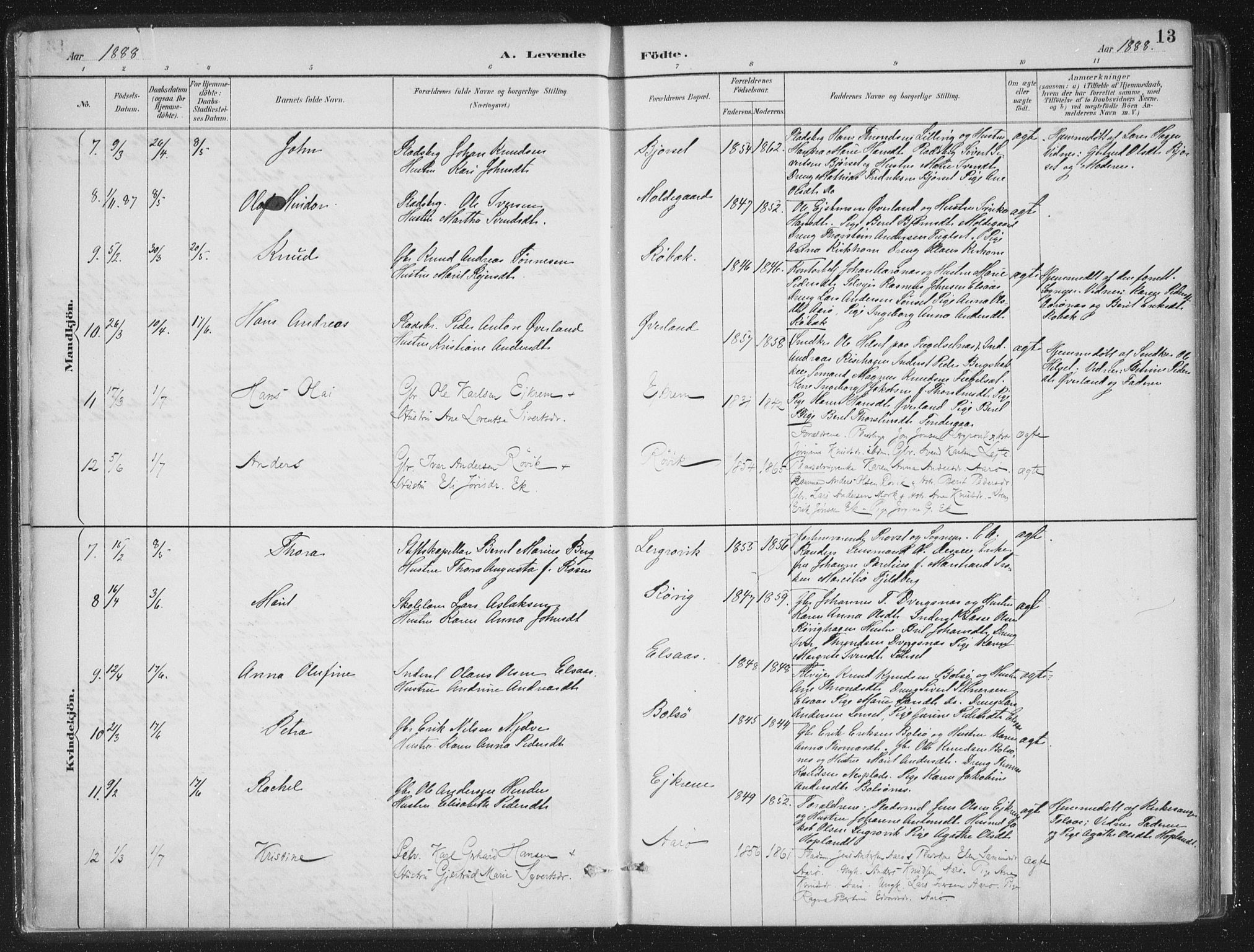 Ministerialprotokoller, klokkerbøker og fødselsregistre - Møre og Romsdal, AV/SAT-A-1454/555/L0658: Parish register (official) no. 555A09, 1887-1917, p. 13